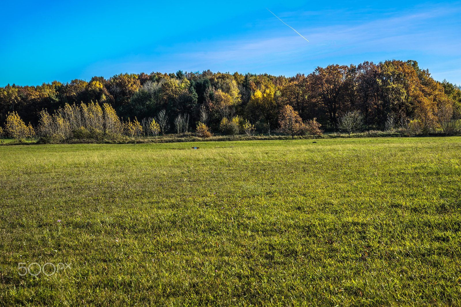 Sony a7 + Sony 28-75mm F2.8 SAM sample photo. Völtendorf im herbst photography