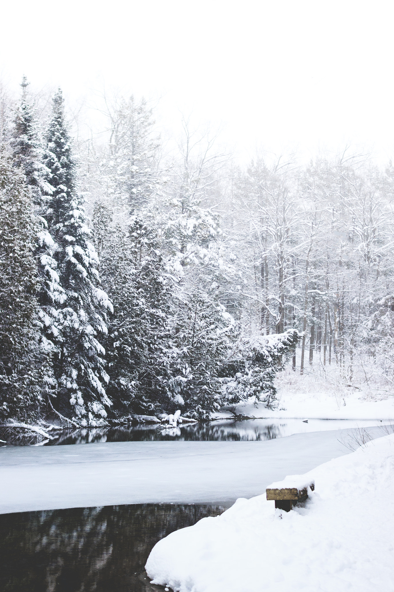 Sigma 30mm F1.4 EX DC HSM sample photo. Winter blues photography