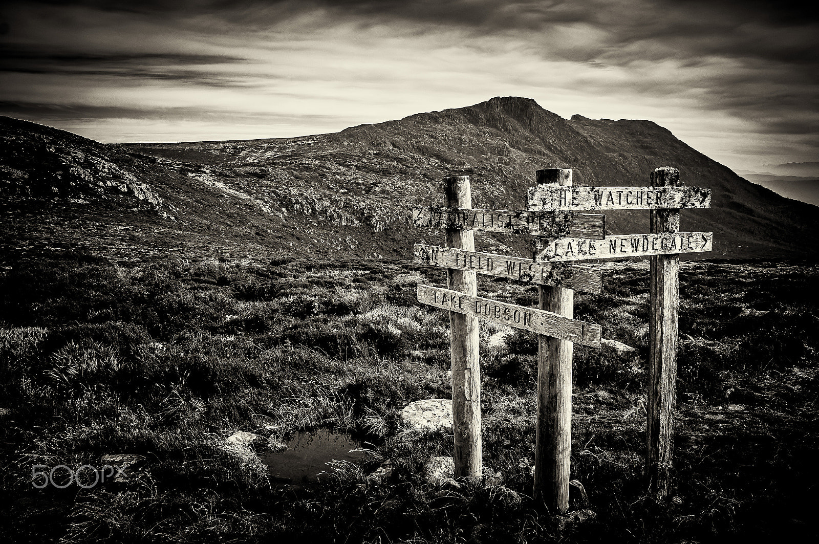 Sony SLT-A37 sample photo. Sign posts at mt field, tasmania, australia photography