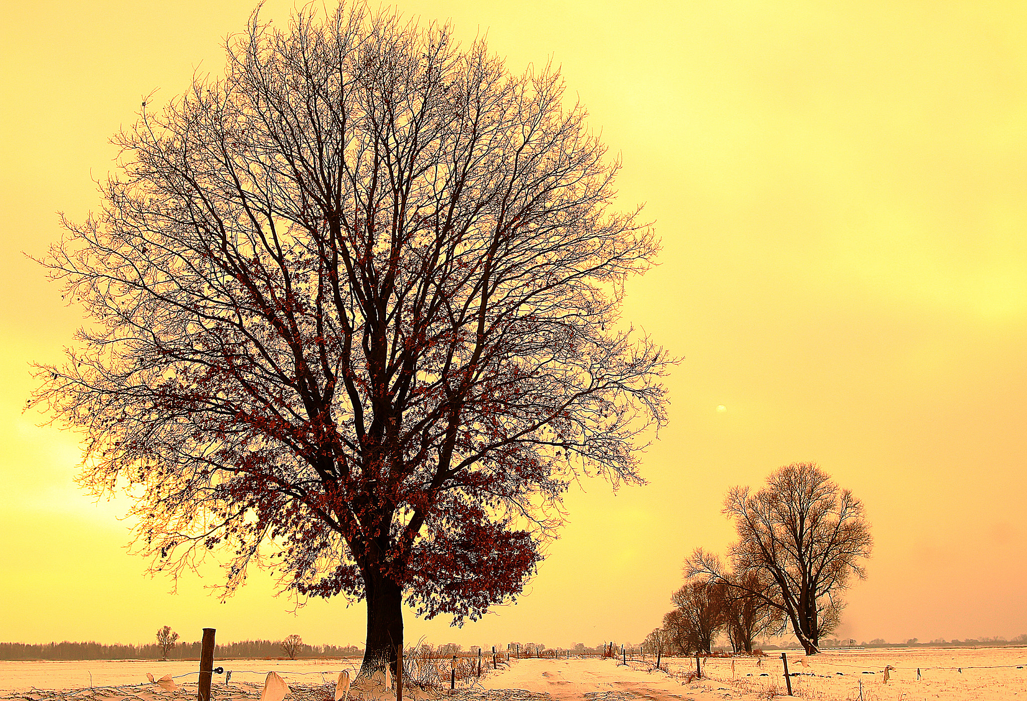 Canon EF 24mm F1.4L II USM sample photo. Winter photography