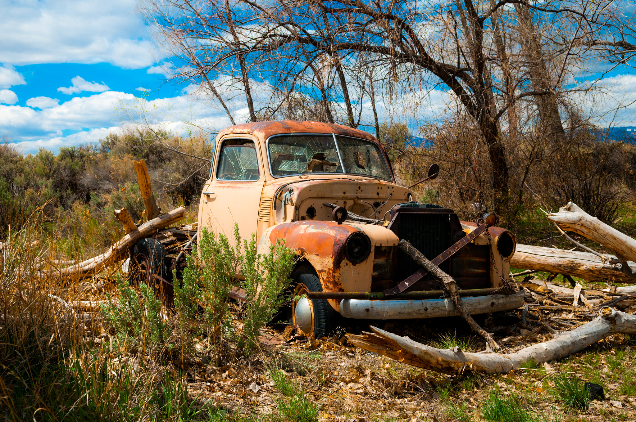 Nikon D300 sample photo. Old pickup truck photography