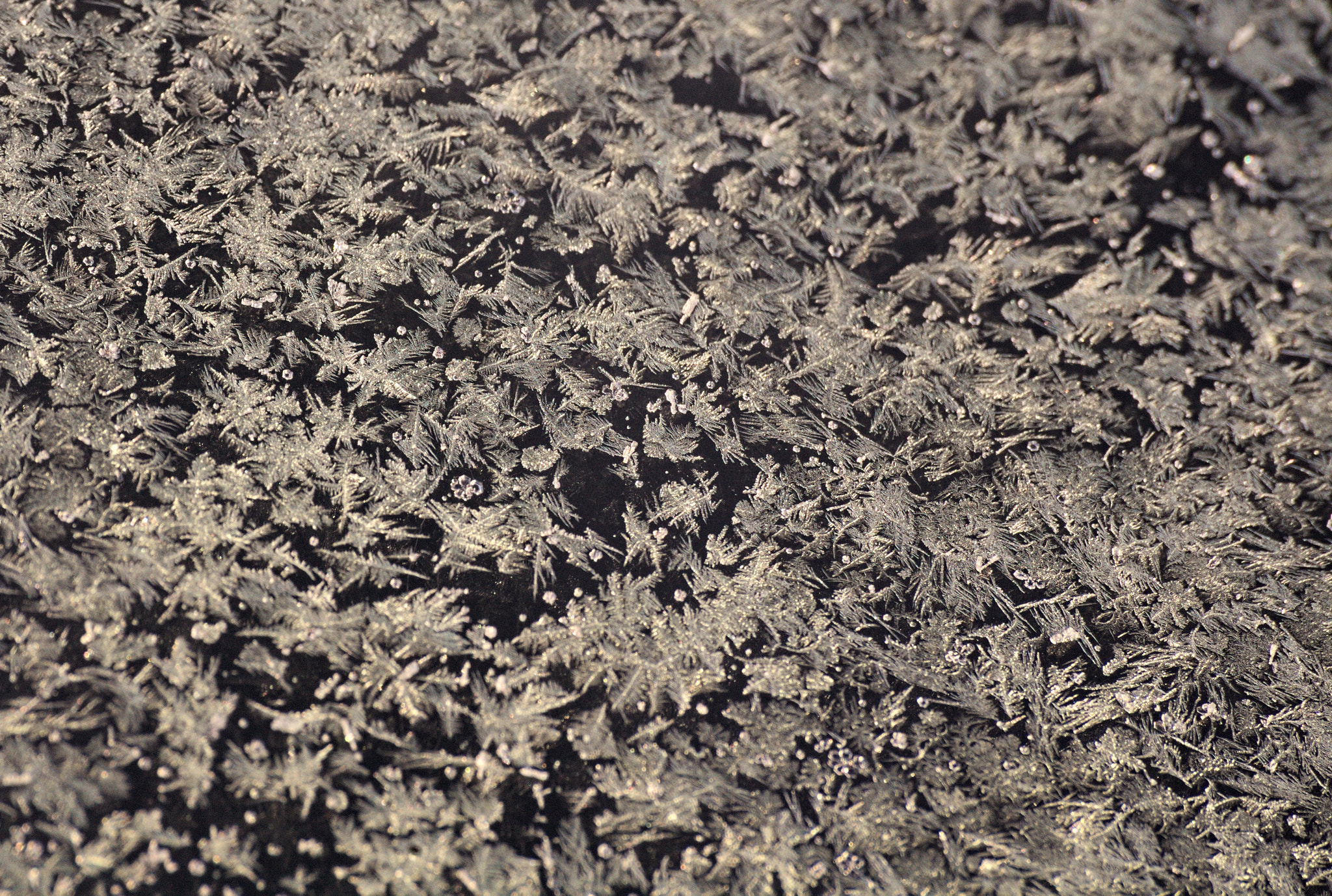 Canon EOS 5D sample photo. Frozen photography