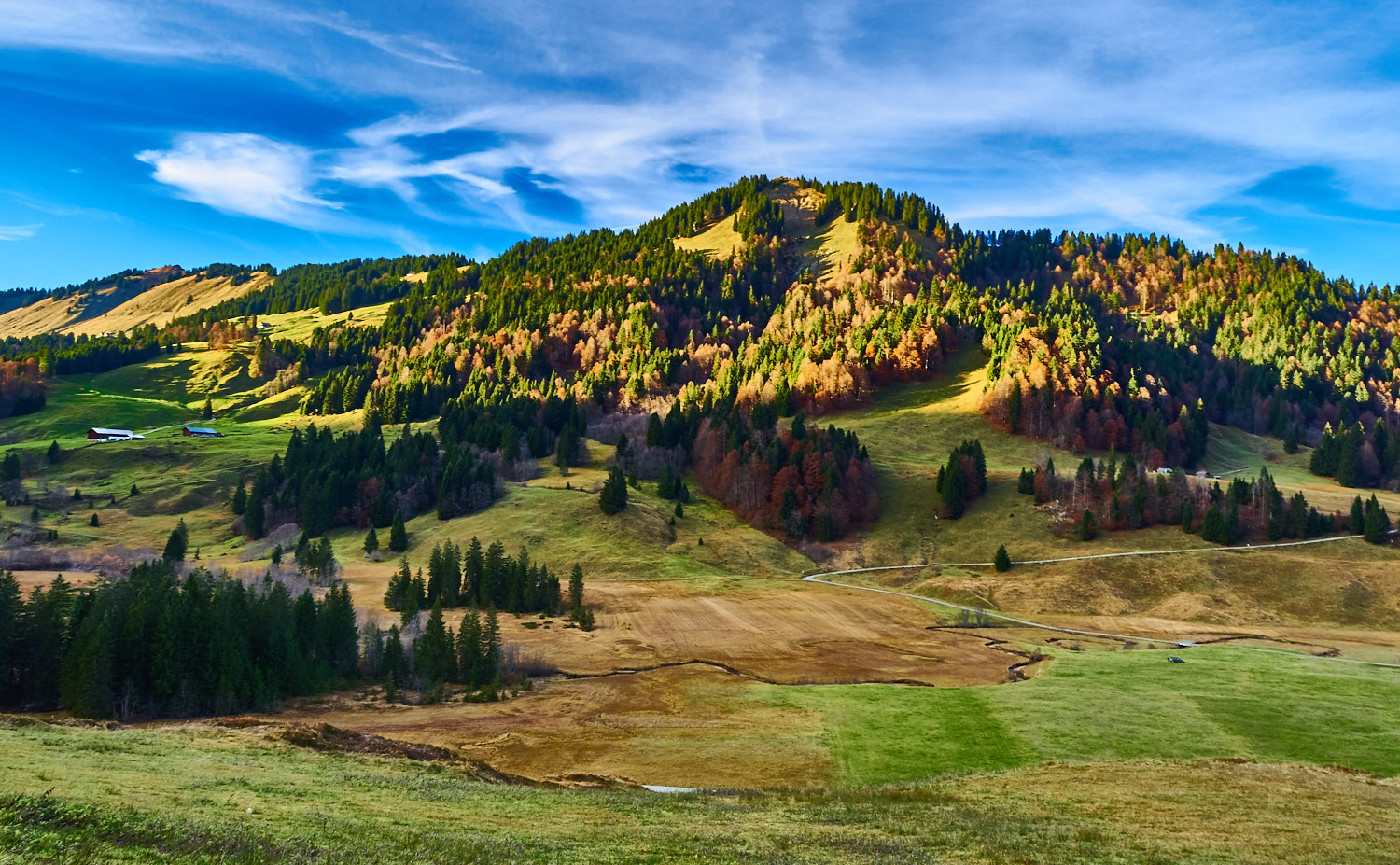 Olympus OM-D E-M1 sample photo. Schönenbach in the autumn photography