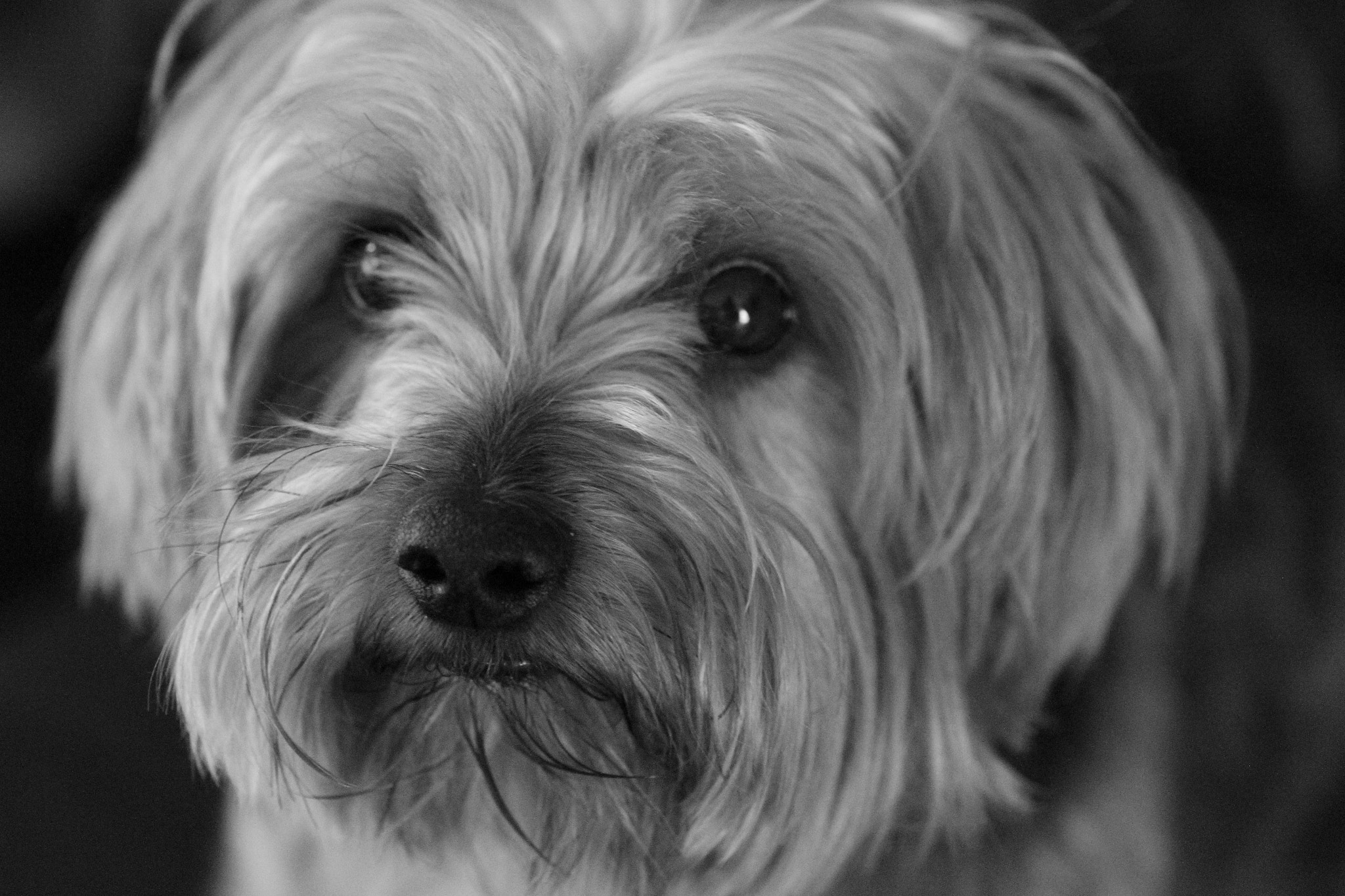 Canon EOS 7D sample photo. Black and white photography