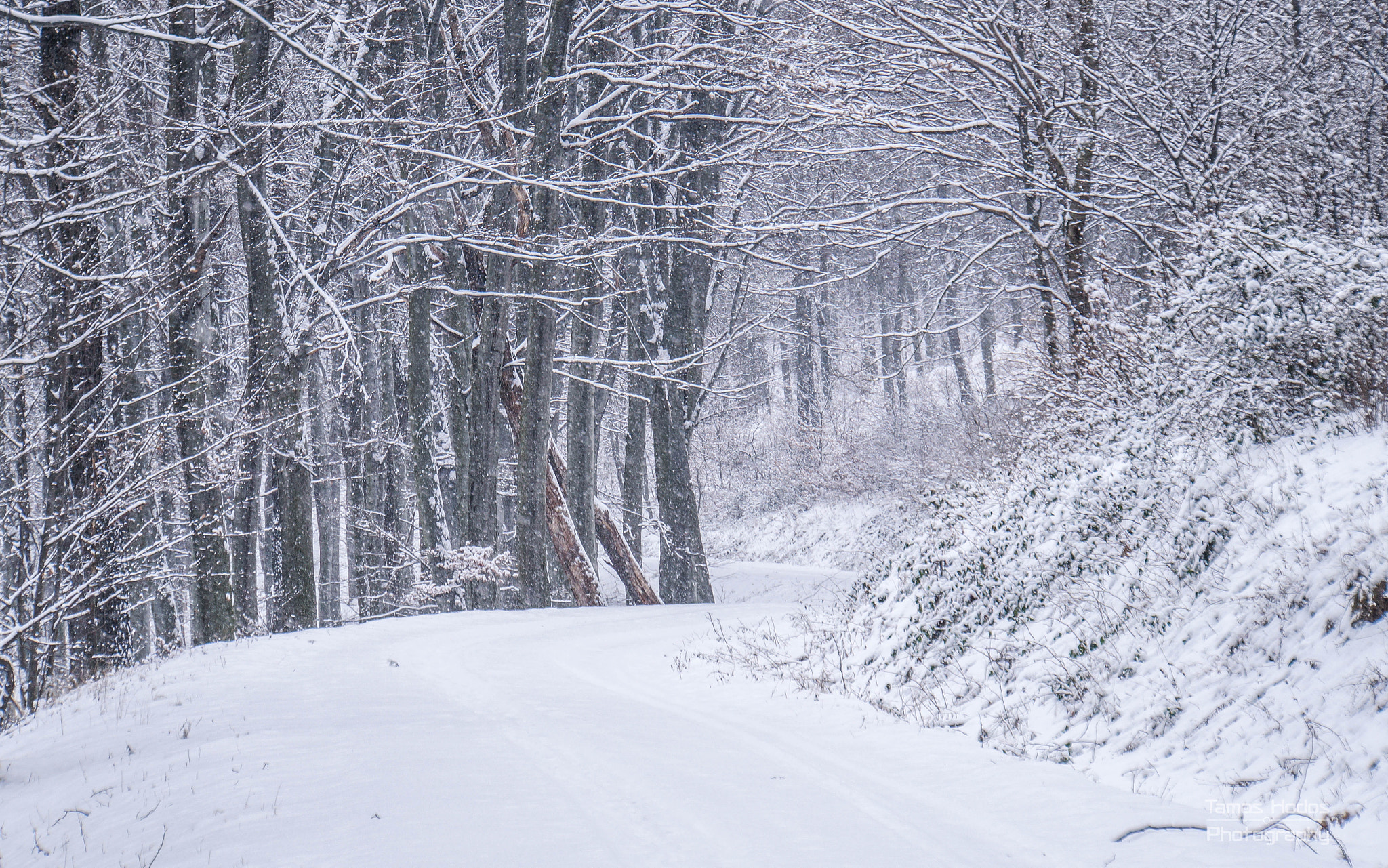 Sony E 18-200mm F3.5-6.3 OSS LE sample photo. Dsc07624.jpg photography