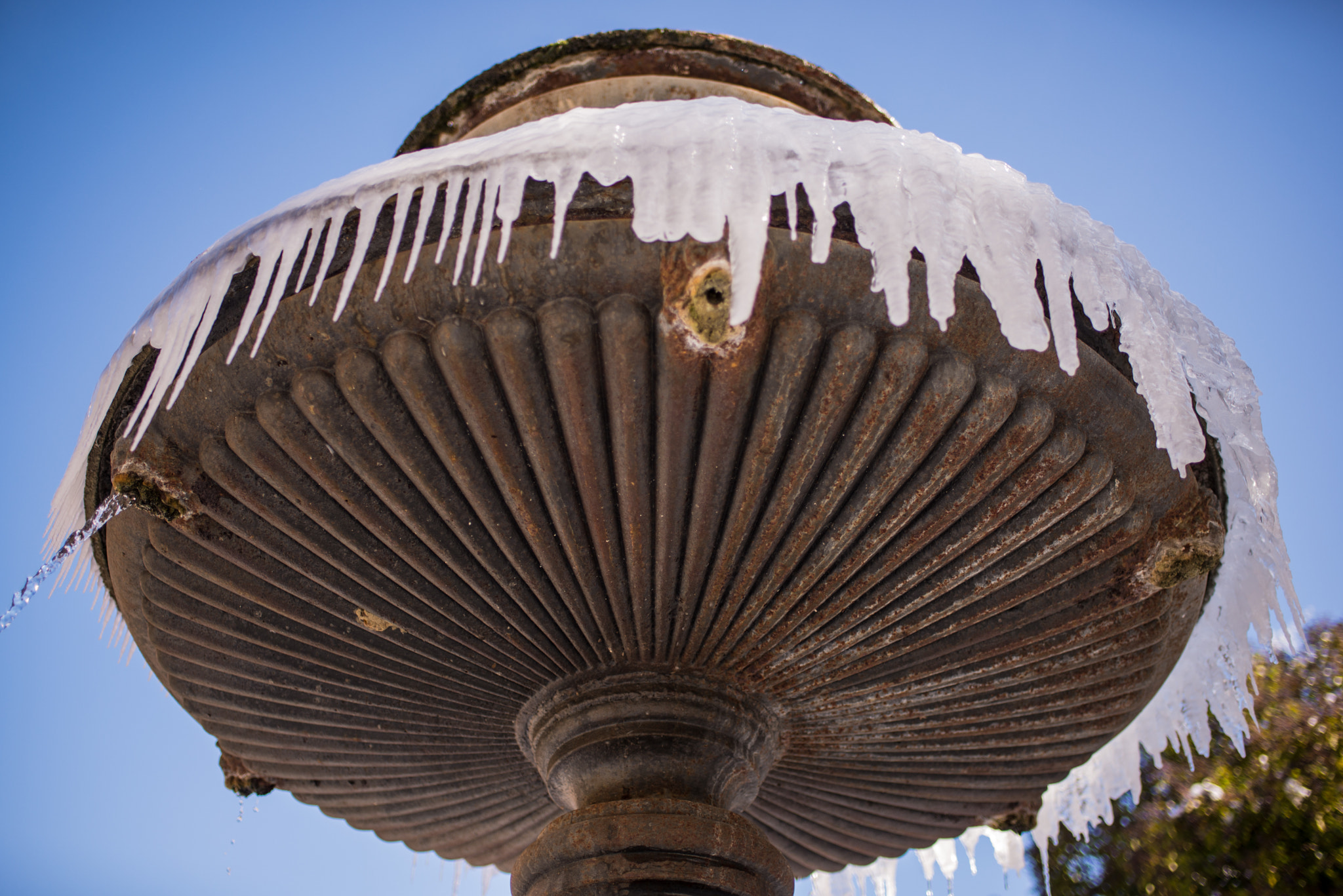 Nikon D610 sample photo. Ice's fountain photography