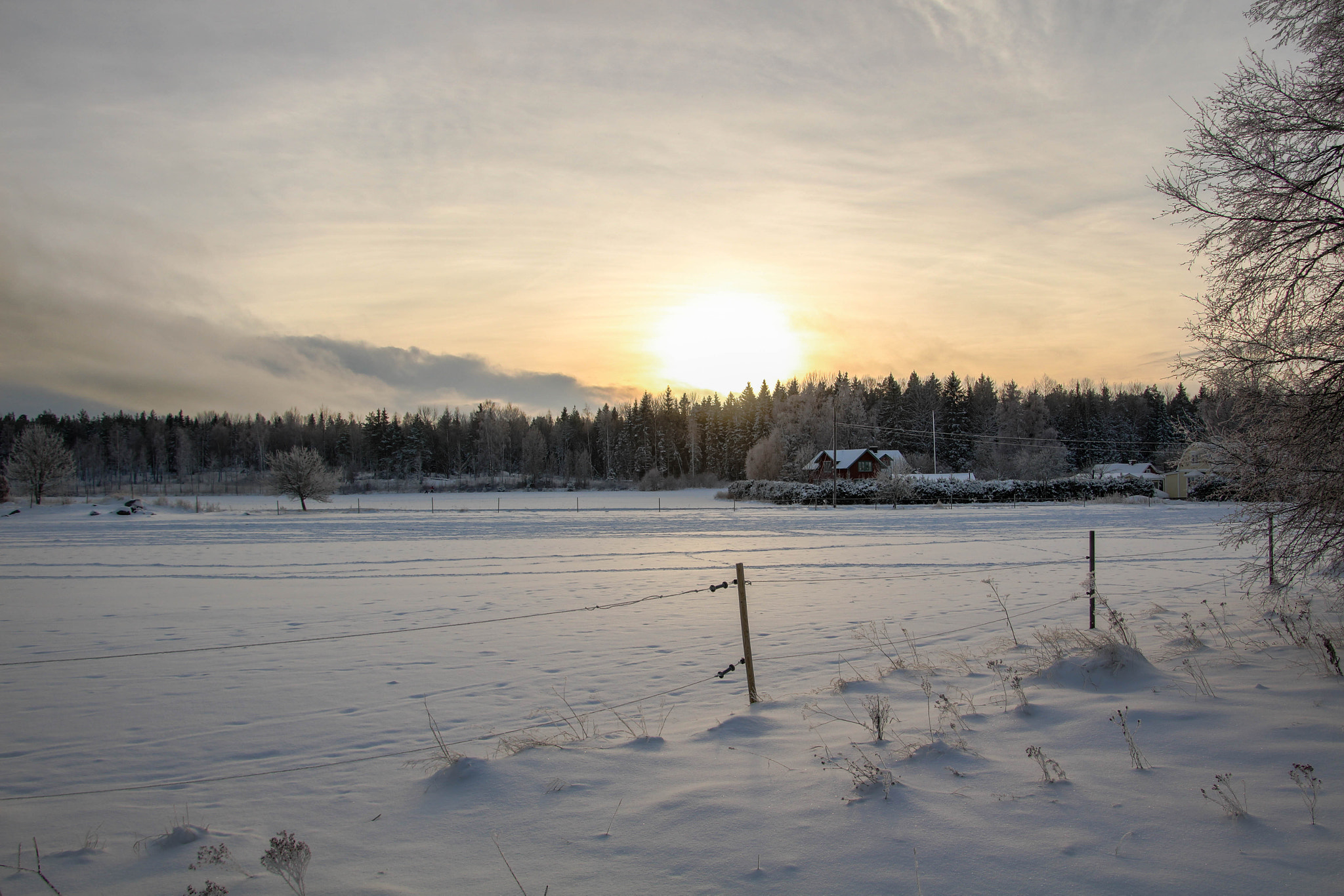 Canon EOS 1200D (EOS Rebel T5 / EOS Kiss X70 / EOS Hi) sample photo. Winter forest. photography