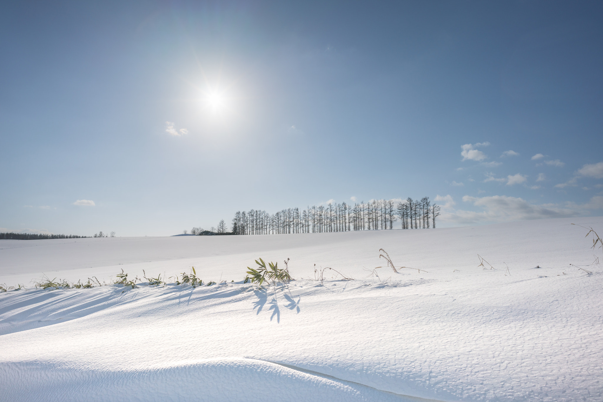 E 21mm F2.8 sample photo. The sun and snow photography