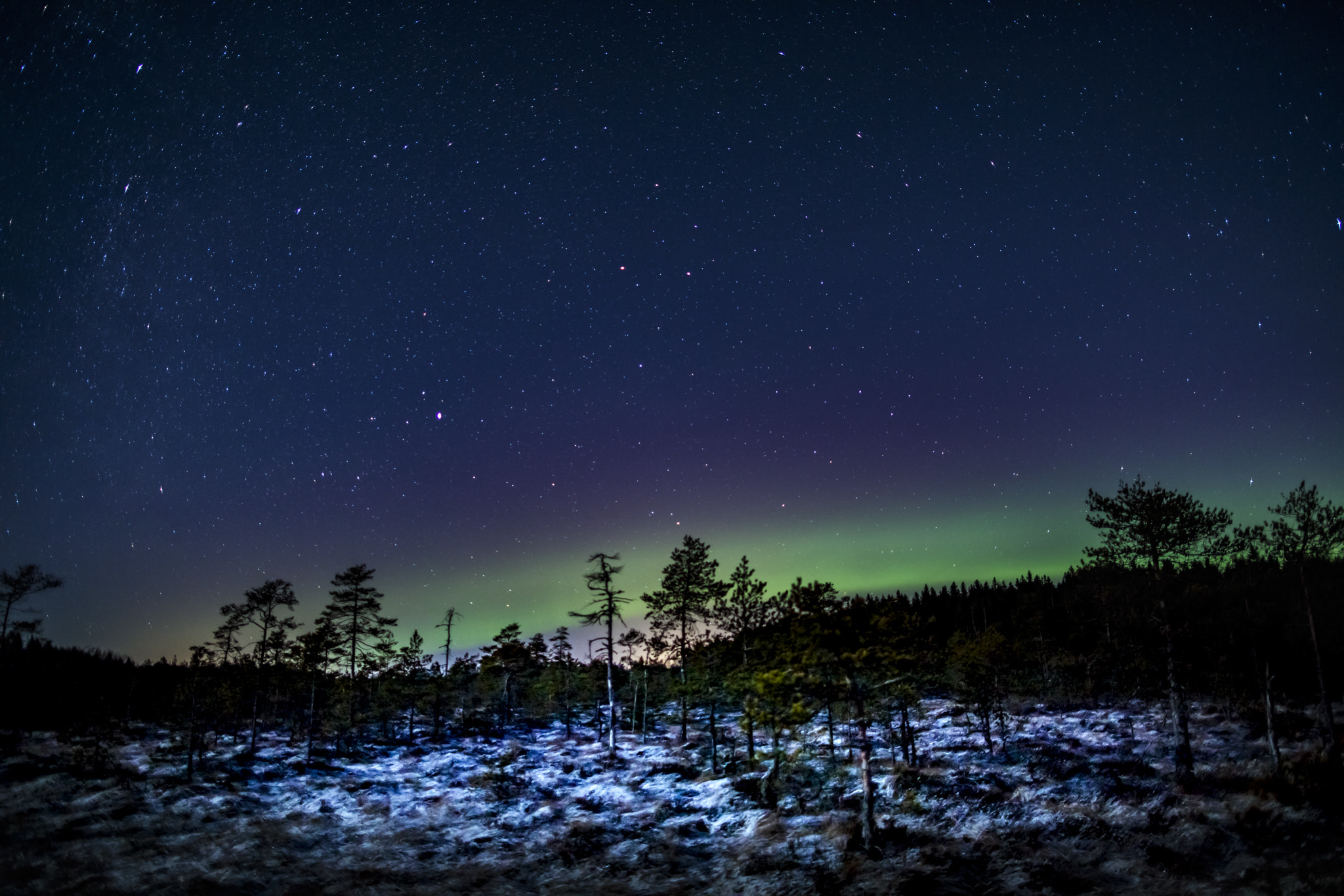 Canon EF 24mm F1.4L II USM sample photo. Frozen swamp photography