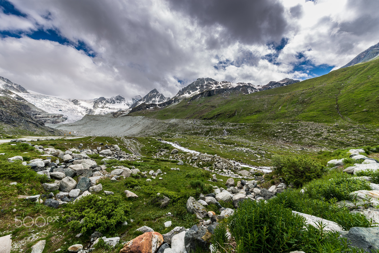 Nikon D600 sample photo. Alpage sauvage à moiry photography