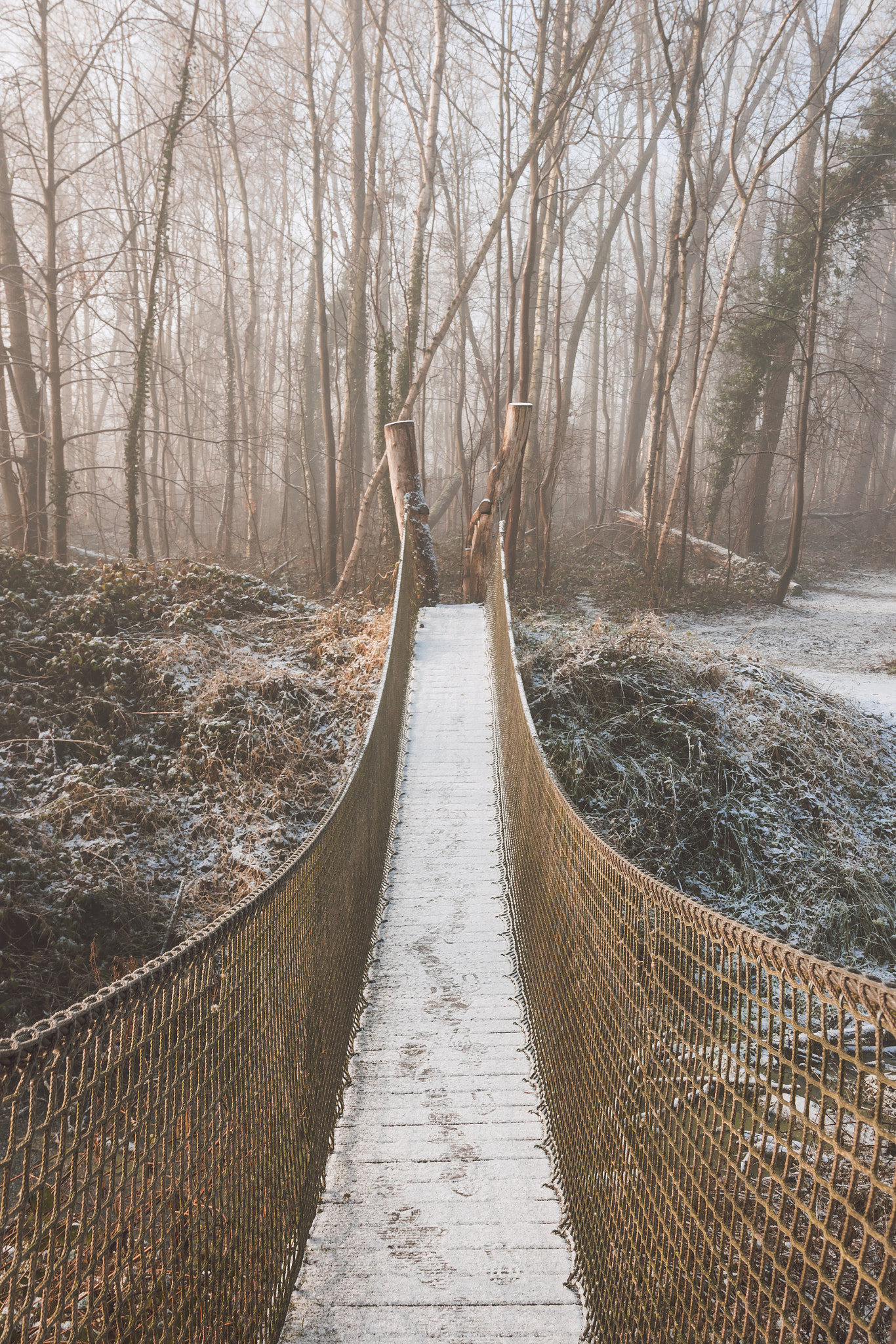 Canon EOS 750D (EOS Rebel T6i / EOS Kiss X8i) sample photo. On the bridge photography