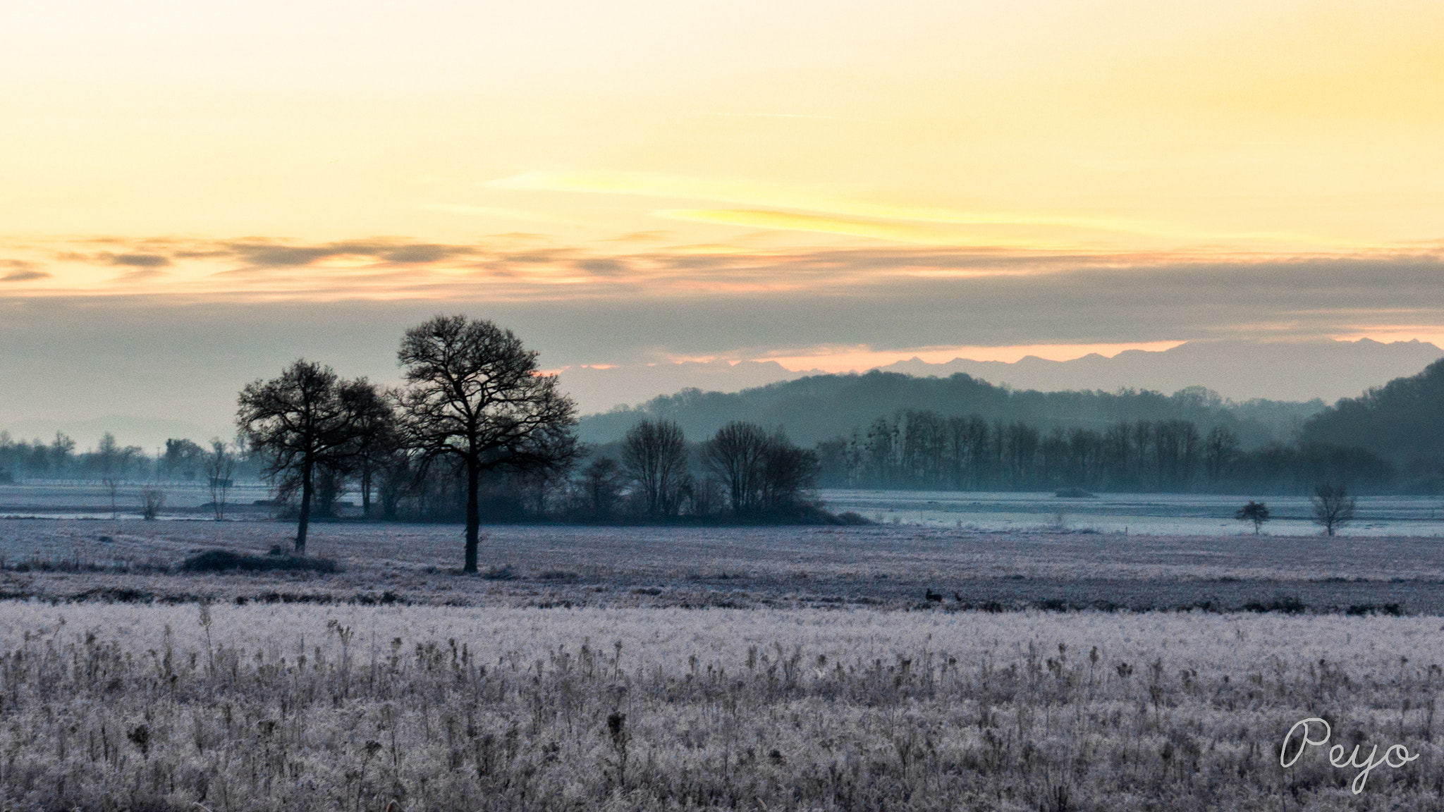 Sony Alpha NEX-7 sample photo. Campagne gelée photography