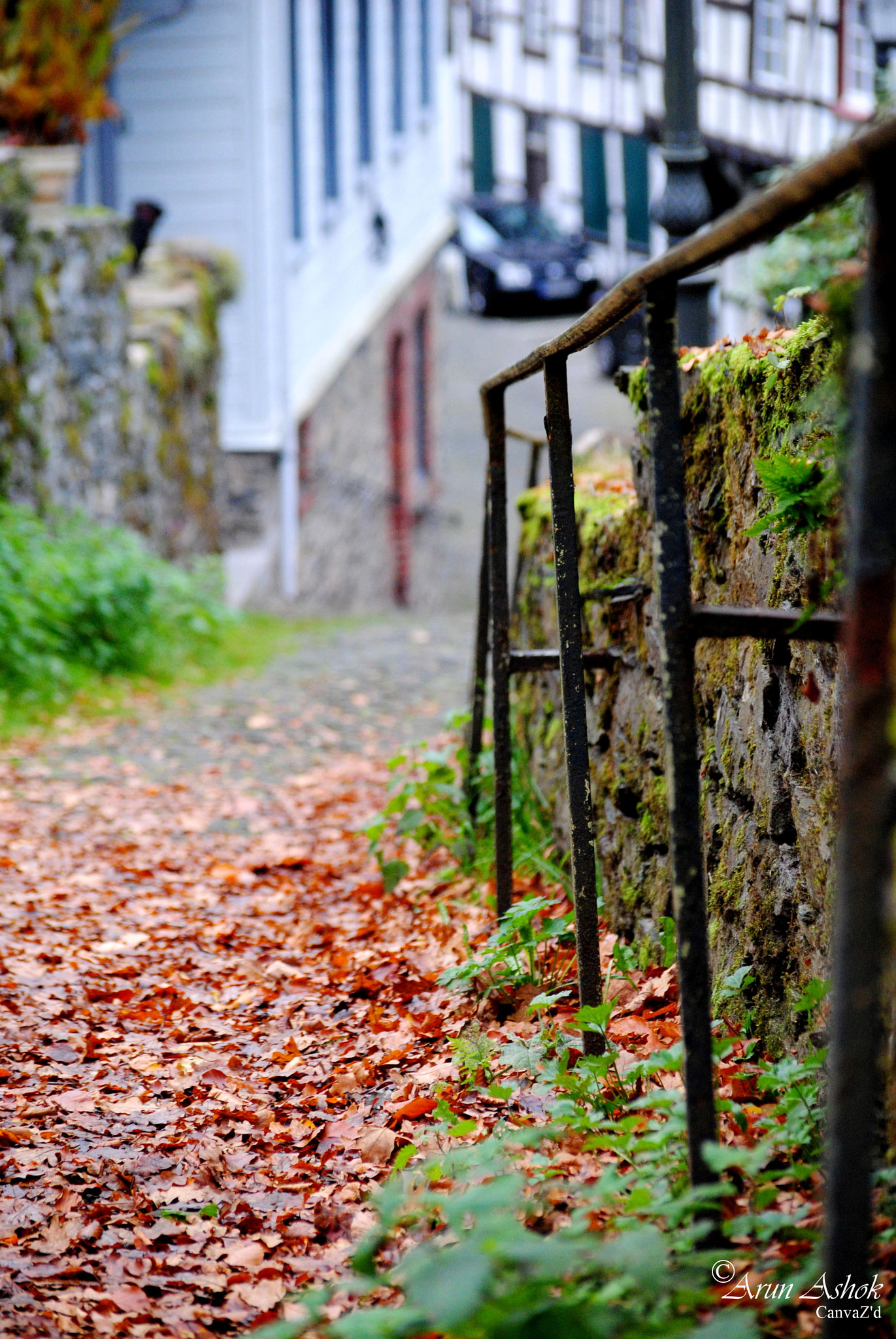 Nikon D3000 sample photo. A photography