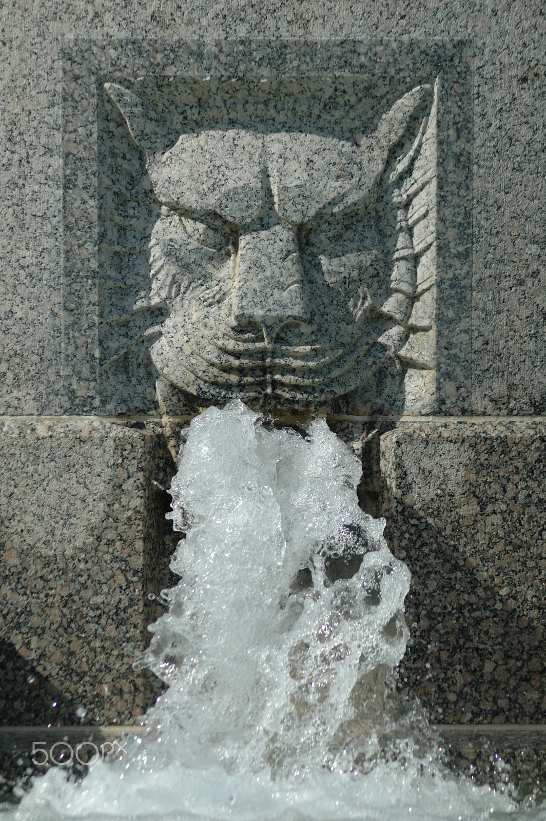 Nikon D70 sample photo. Lion head fountain spout photography