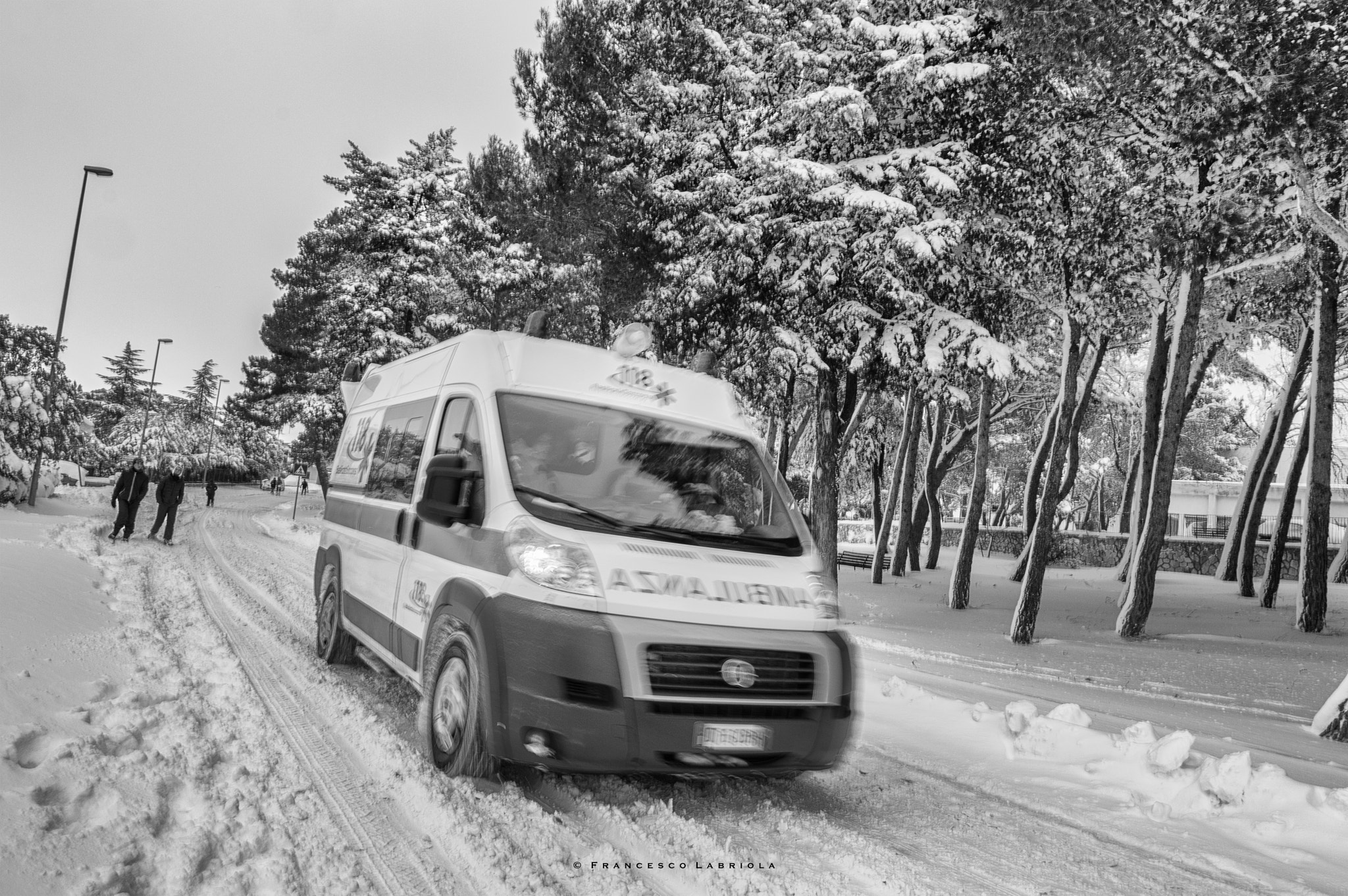 Nikon D3200 sample photo. Snow or shine... they are always there photography
