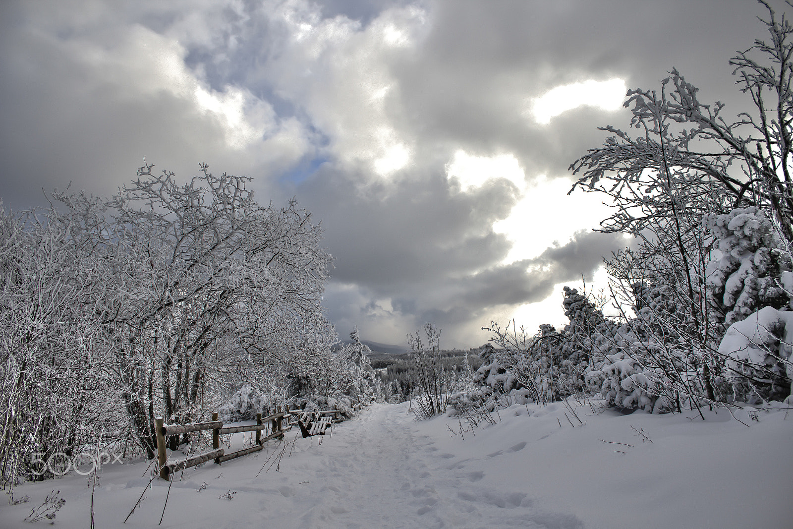 Canon EF-S 18-55mm F3.5-5.6 IS sample photo. Schliffkopf x photography