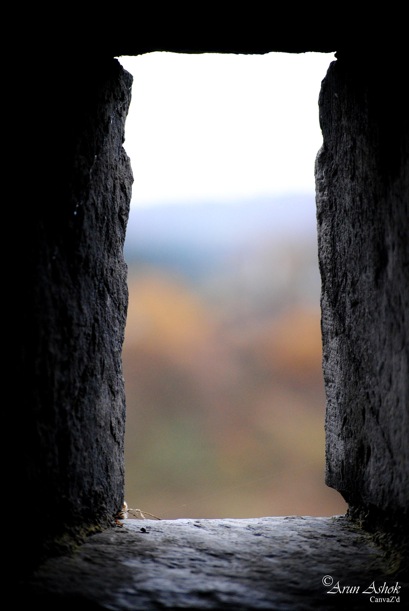 Nikon D3000 sample photo. A photography
