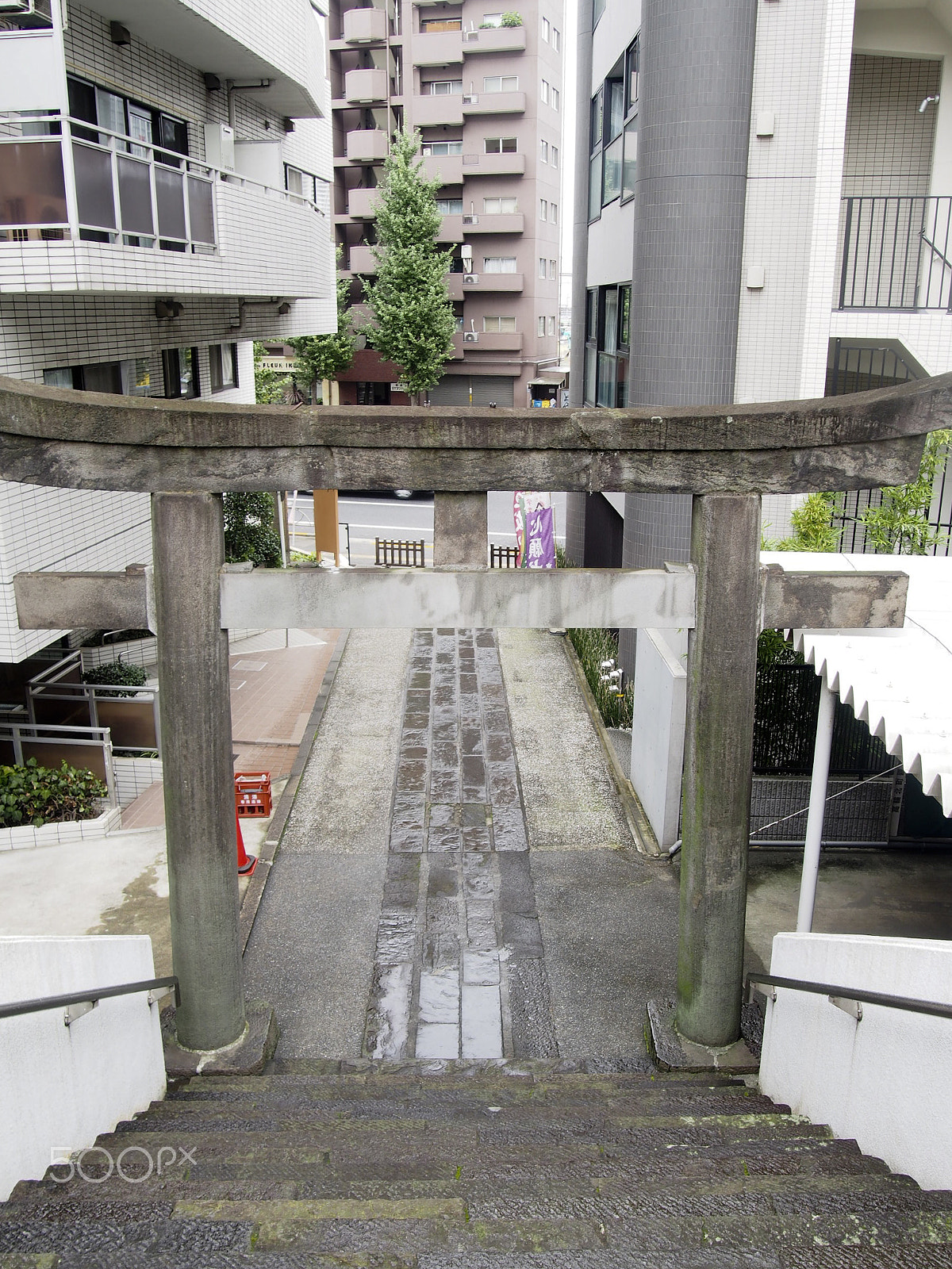 Olympus M.Zuiko Digital 14-42mm F3.5-5.6 II R sample photo. Torii  gate shrine tokyo japan photography