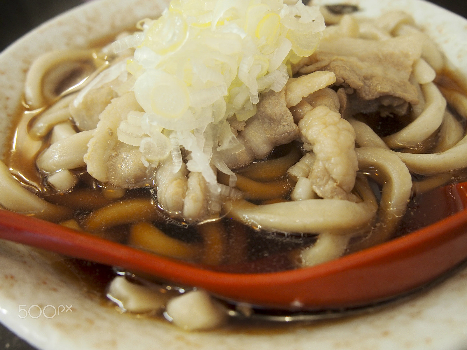 Olympus M.Zuiko Digital 14-42mm F3.5-5.6 II R sample photo. Udon noodle soup photography