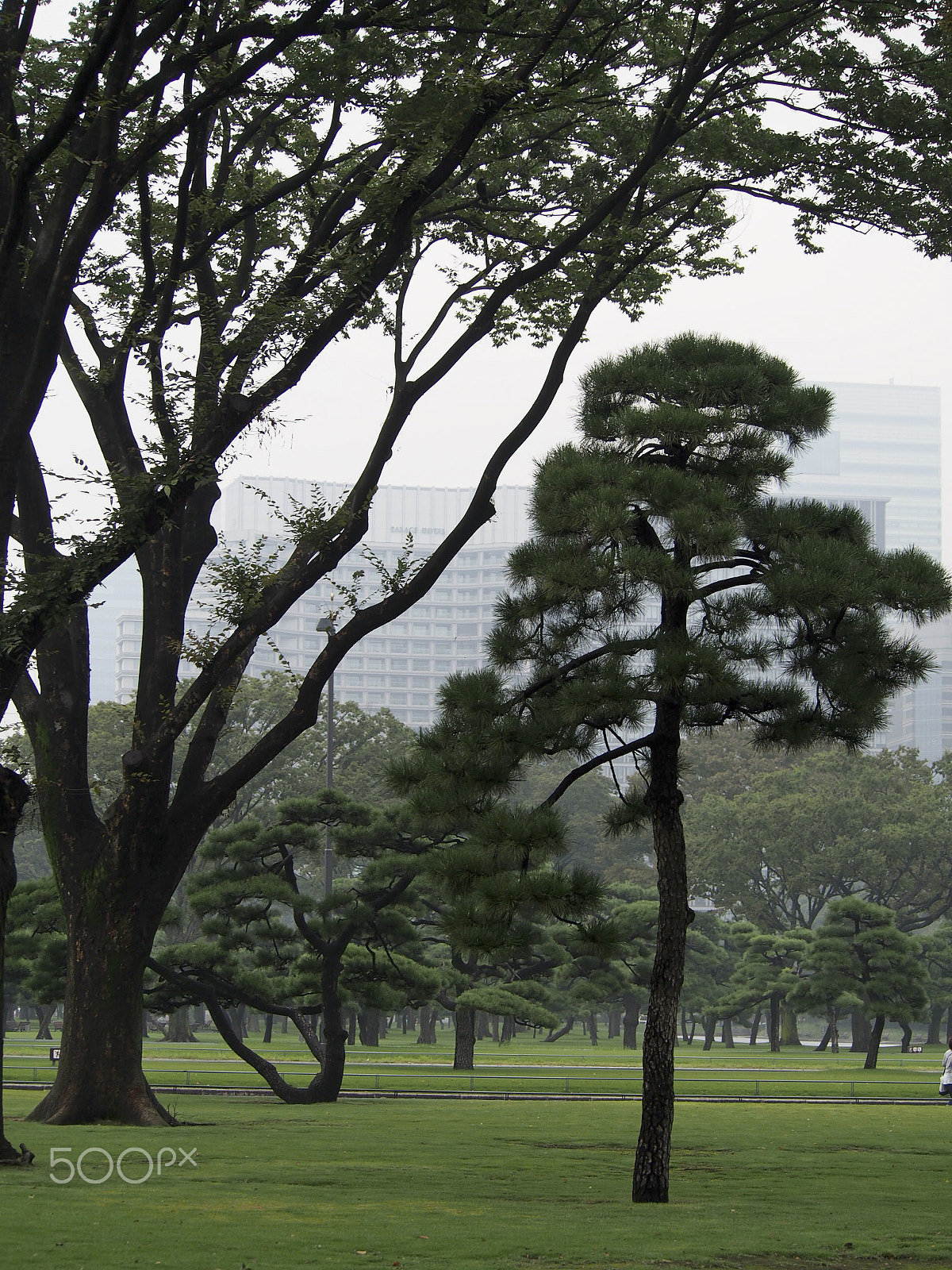 Olympus OM-D E-M5 sample photo. Imperial garden tokyo photography
