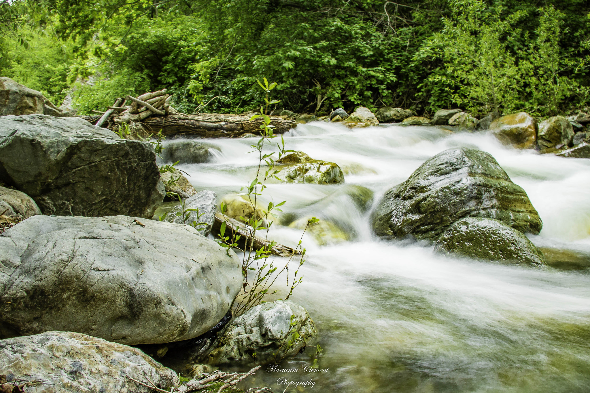 Canon EF-S 17-85mm F4-5.6 IS USM sample photo. Cottonwood creek photography