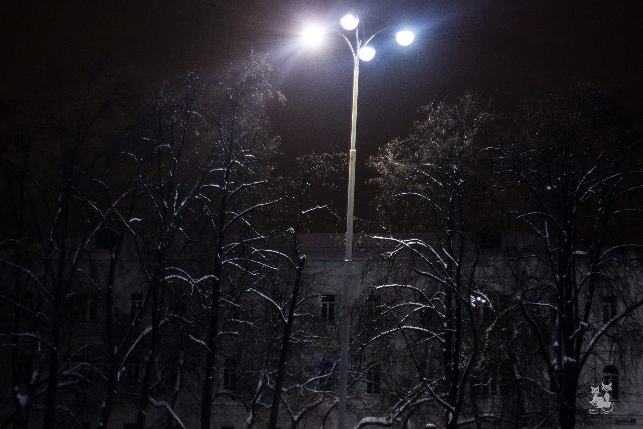 Canon EF 35-80mm f/4-5.6 sample photo. Silent ... photography