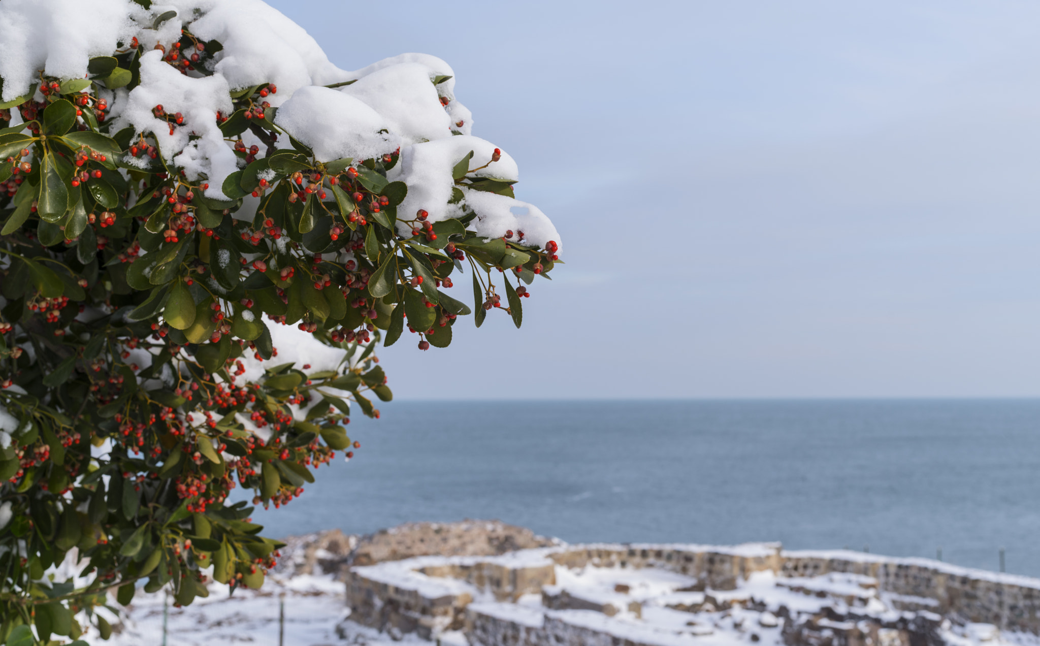 Pentax K-1 + Pentax smc FA 43mm F1.9 Limited sample photo. Winter in sozopol photography
