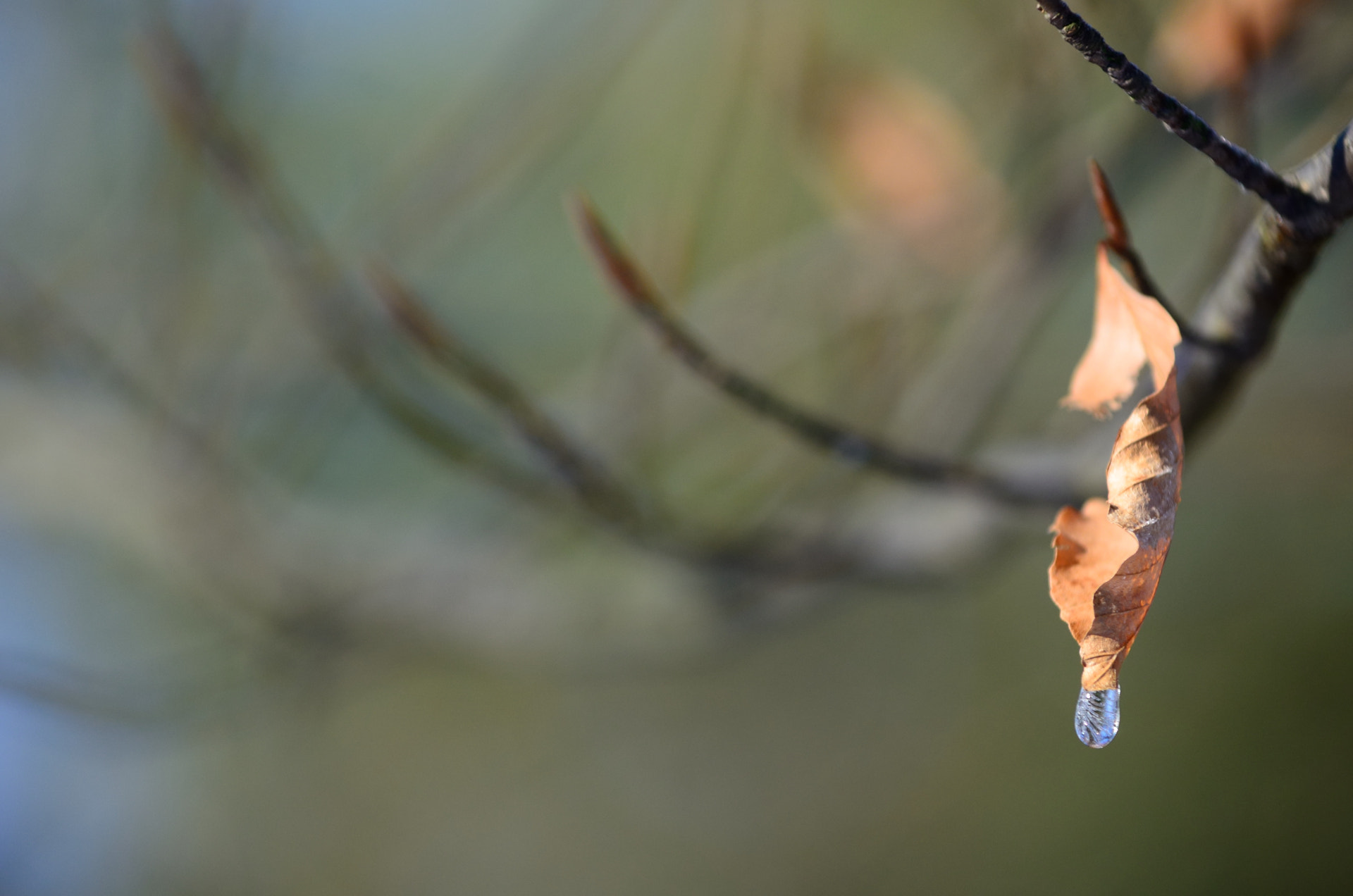 Nikon AF-S Nikkor 70-200mm F4G ED VR sample photo. Icicles on the sun photography