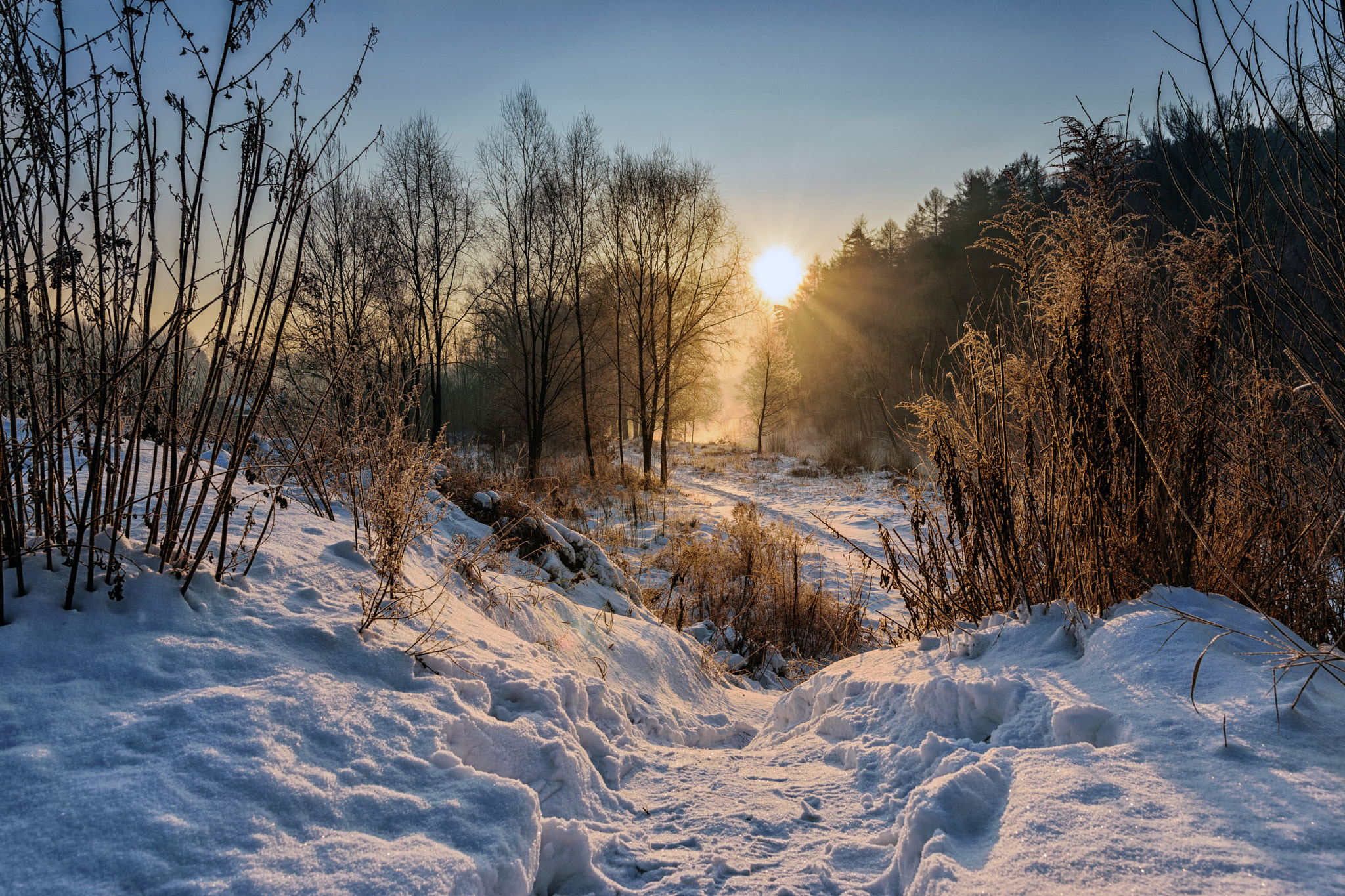 Nikon D5300 + Sigma 18-35mm F1.8 DC HSM Art sample photo. Frost photography