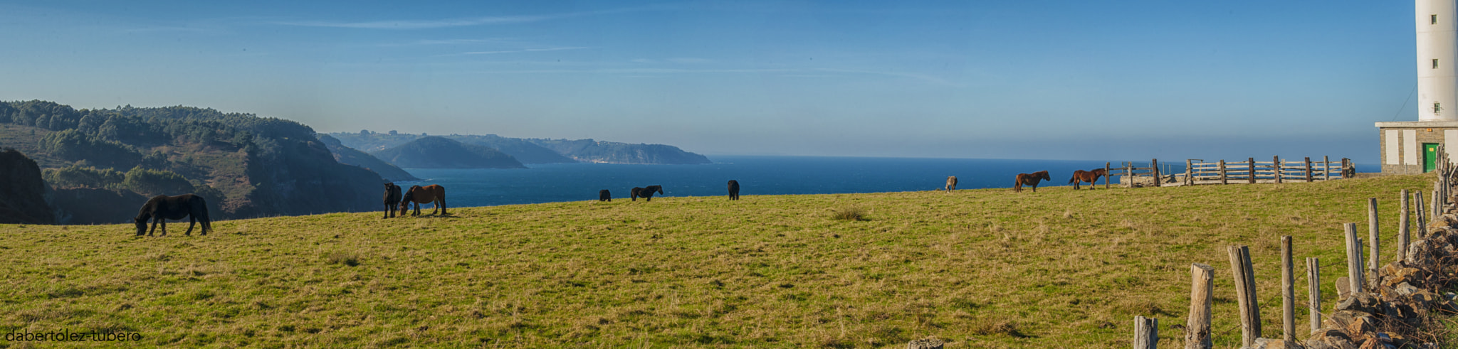 AF Zoom-Nikkor 28-80mm f/3.3-5.6G sample photo. Calma equina photography