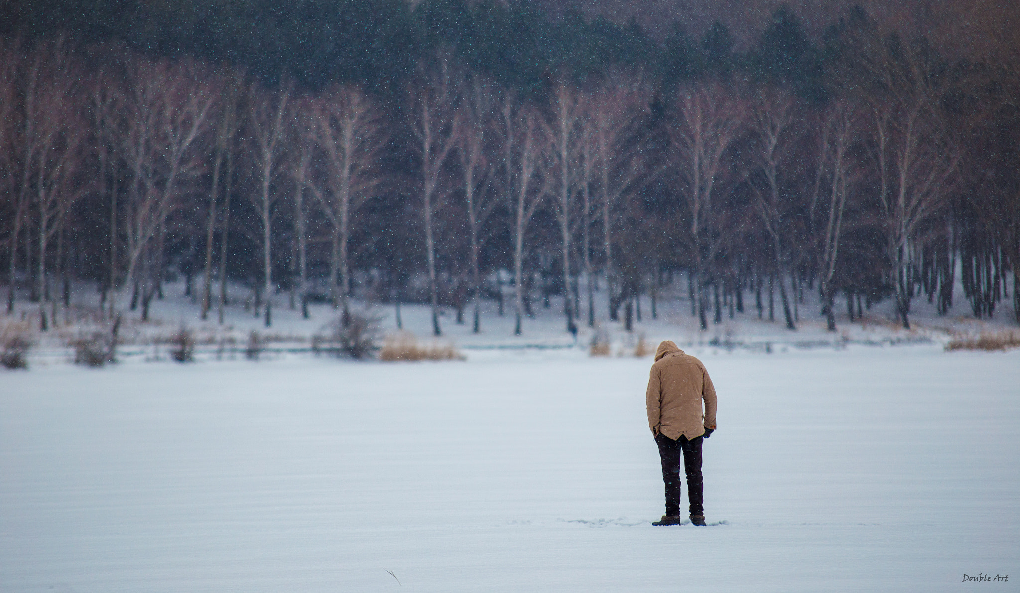 Canon EOS 6D + Sigma 70-200mm F2.8 EX DG OS HSM sample photo. Winter photography