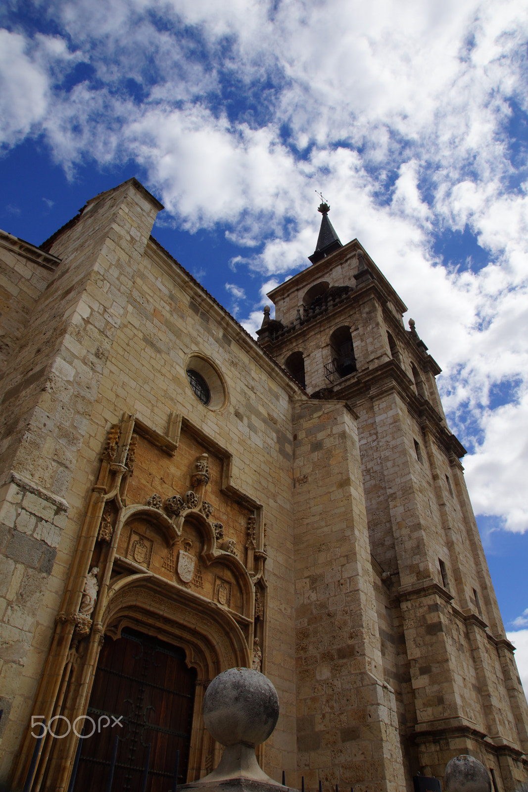 Sony SLT-A77 sample photo. Reaching high photography