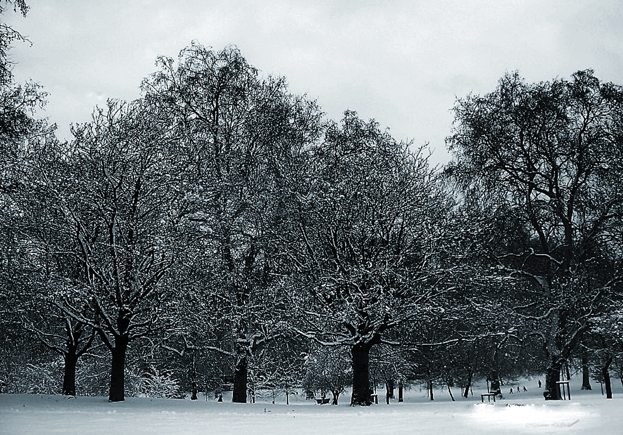 Kodak EASYSHARE Z8612 IS DIGITAL CAMERA sample photo. Green park during the winter photography