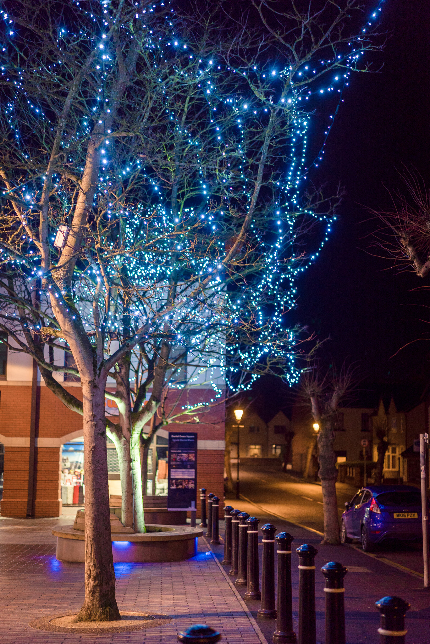 Sony a7S + Sony Sonnar T* FE 55mm F1.8 ZA sample photo. Fairy lights in mold photography