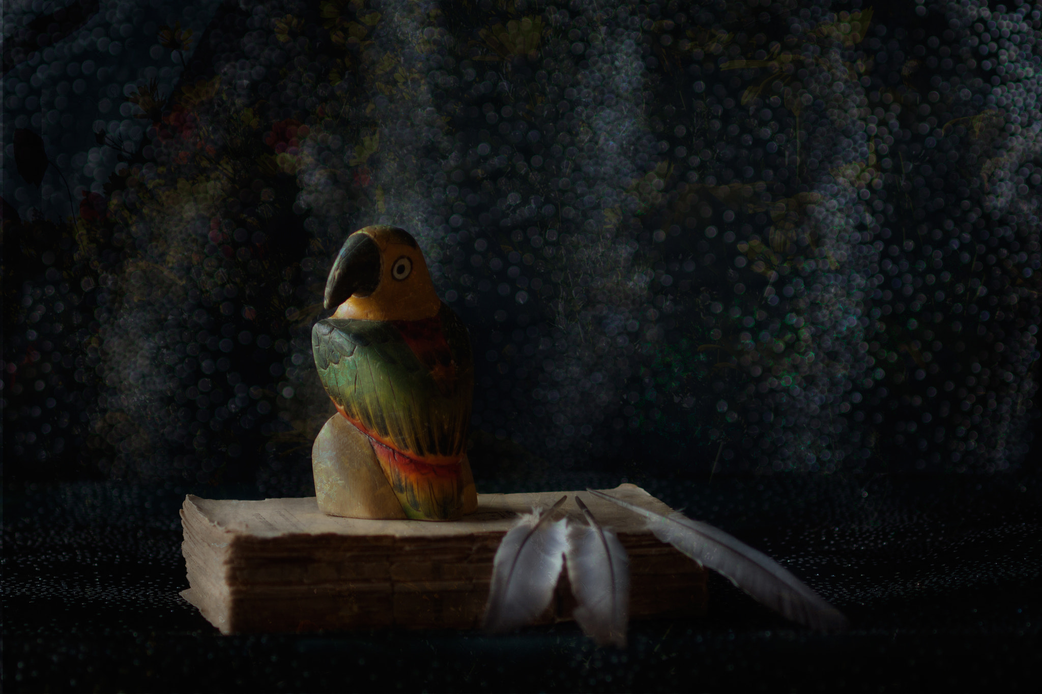 Canon EF 35-80mm f/4-5.6 sample photo. Soñando aventuras..........en casa photography