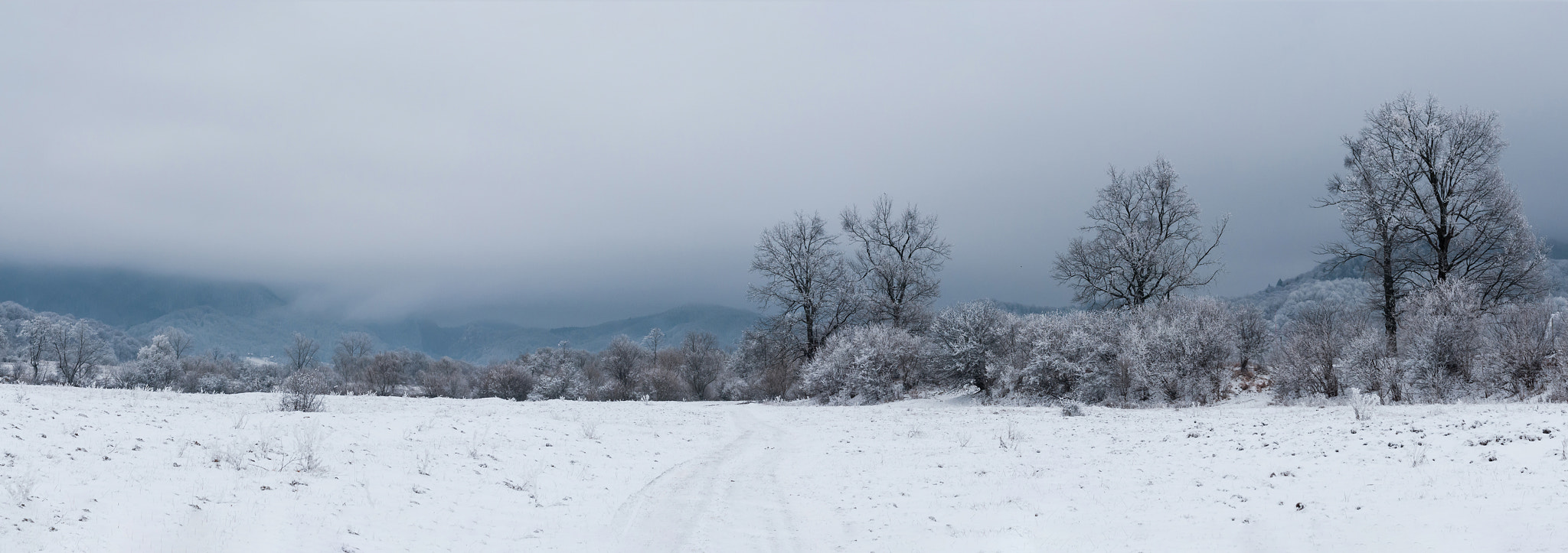 Nikon D300 + Sigma 18-50mm F2.8-4.5 DC OS HSM sample photo. Winter_panorama_6x17.jpg photography