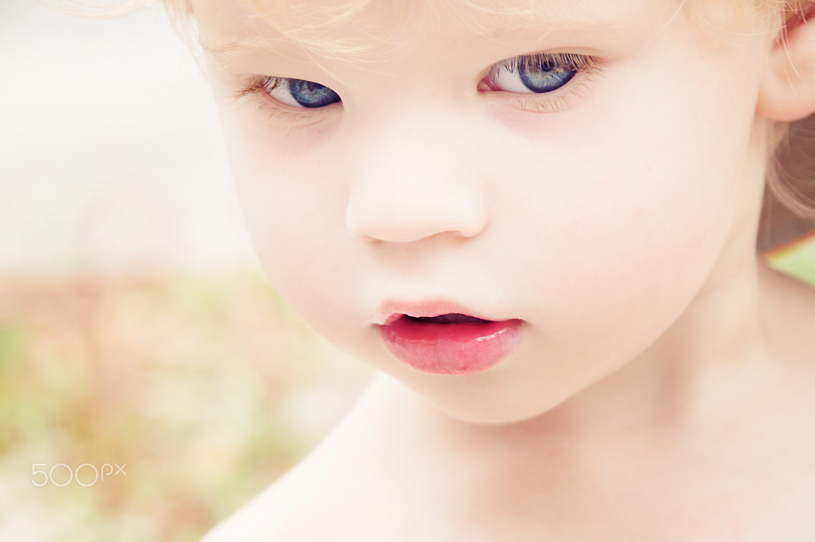 Nikon D3200 sample photo. Oscar photography