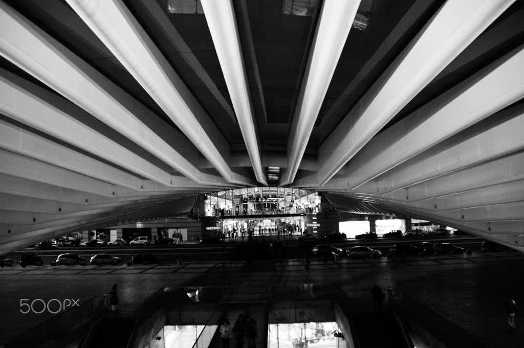 Sony DT 18-200mm F3.5-6.3 sample photo. Calatrava's lines photography