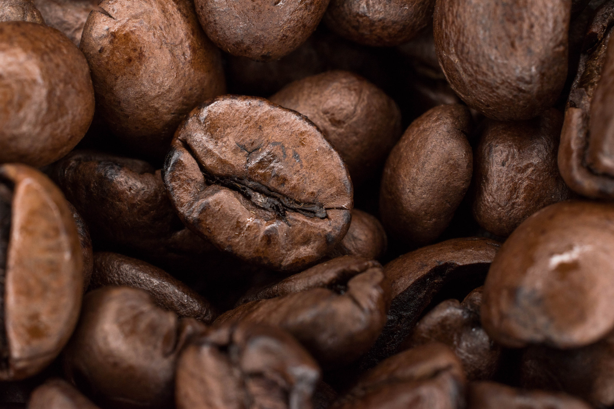 Nikon AF-S DX Micro Nikkor 40mm F2.8 sample photo. Coffee bean photography