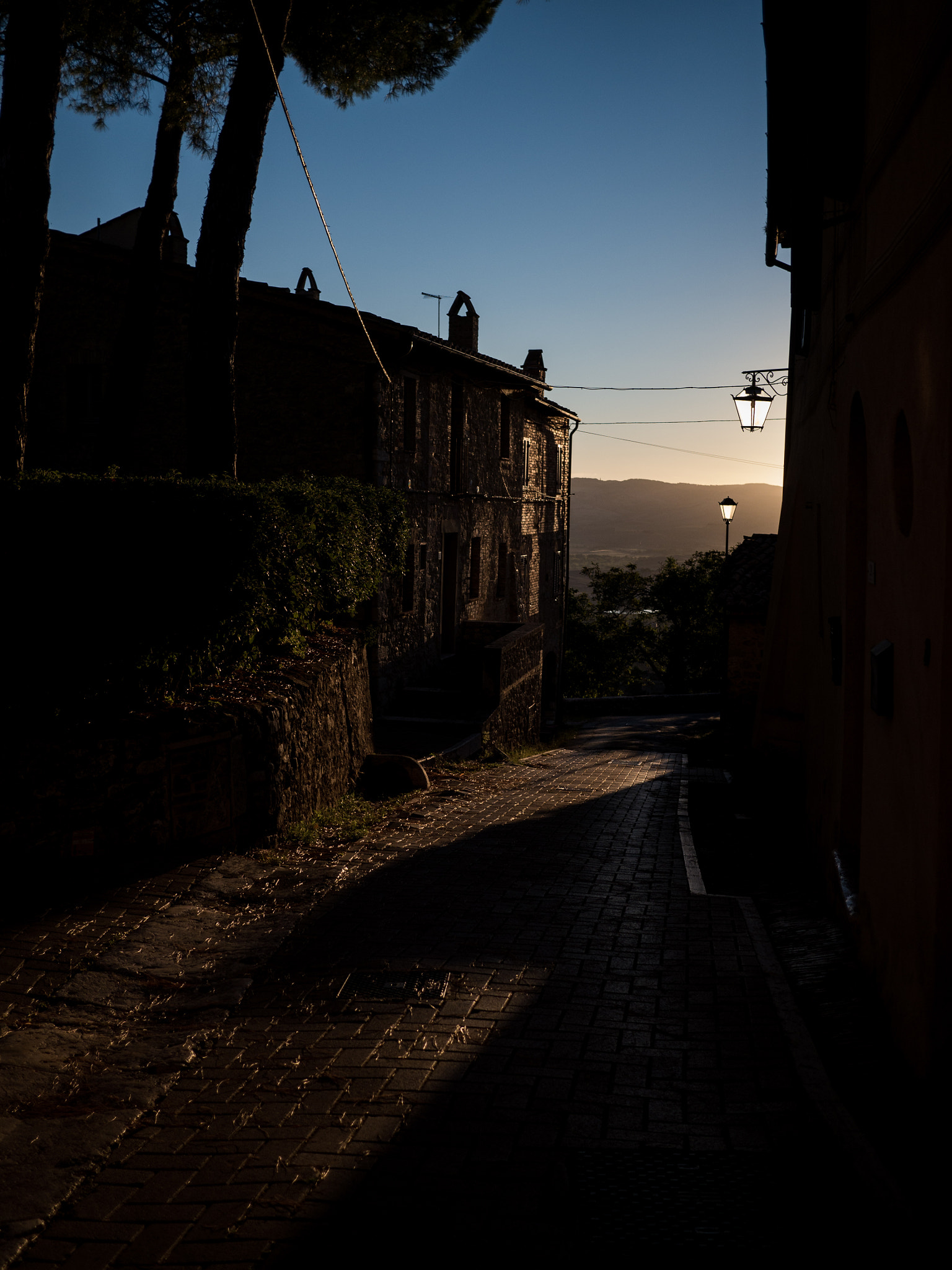 LUMIX G 20/F1.7 II sample photo. Early bird photography