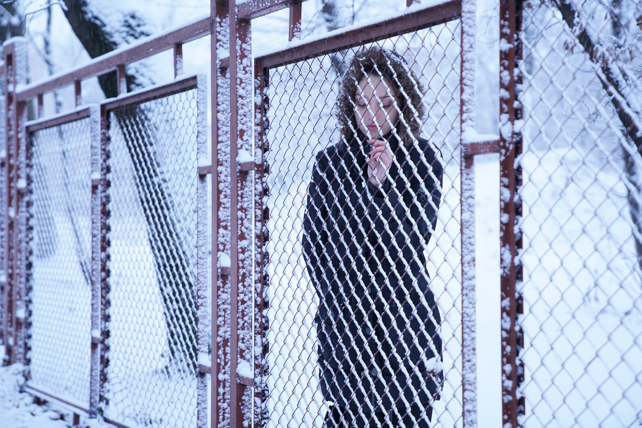 Sony FE 24-70mm F2.8 GM sample photo. Cold fence photography