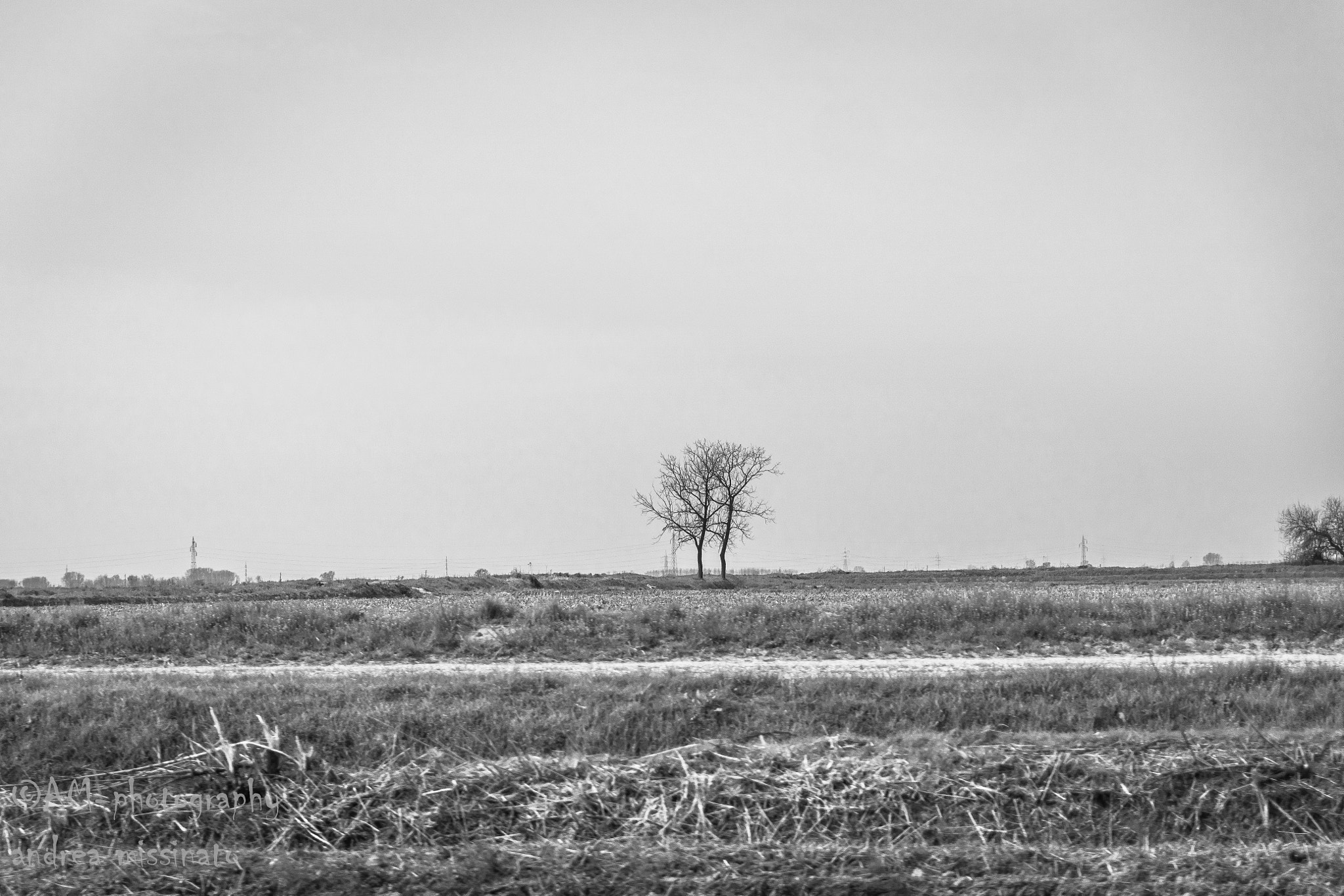 Sony ILCA-77M2 sample photo. Lonely pair photography