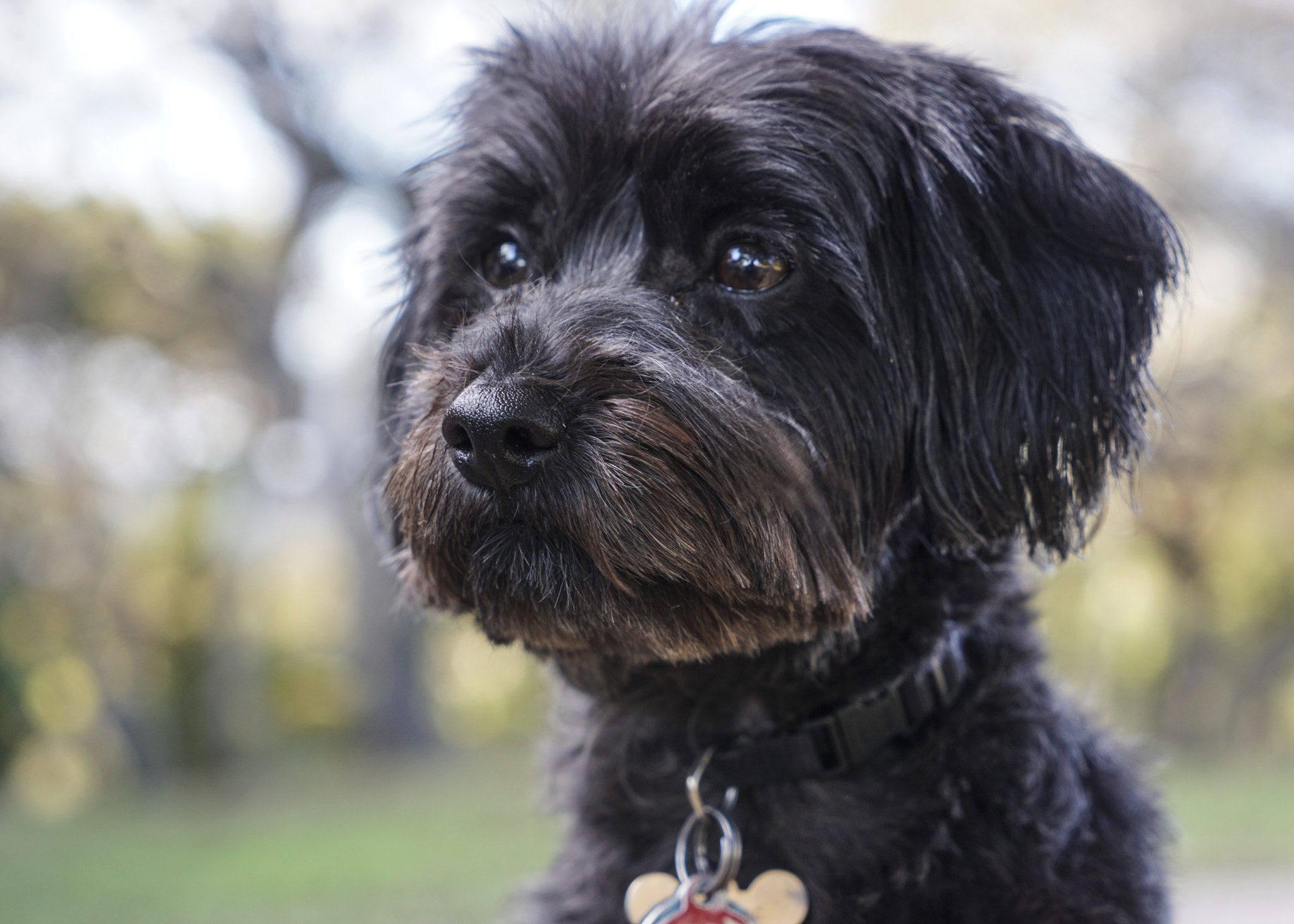 Sony a6000 sample photo. Maggie portrait 2 photography