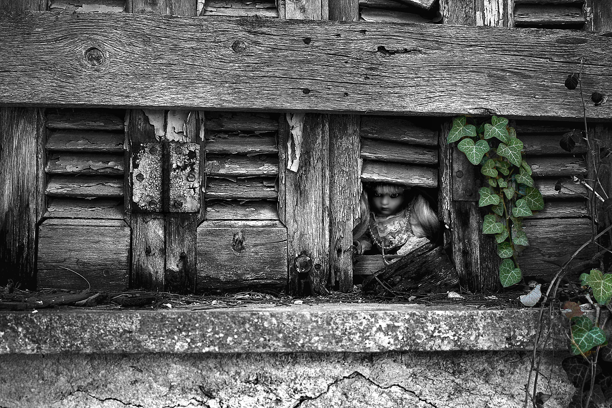 Canon EOS 1100D (EOS Rebel T3 / EOS Kiss X50) sample photo. ''hide and seek'' photography