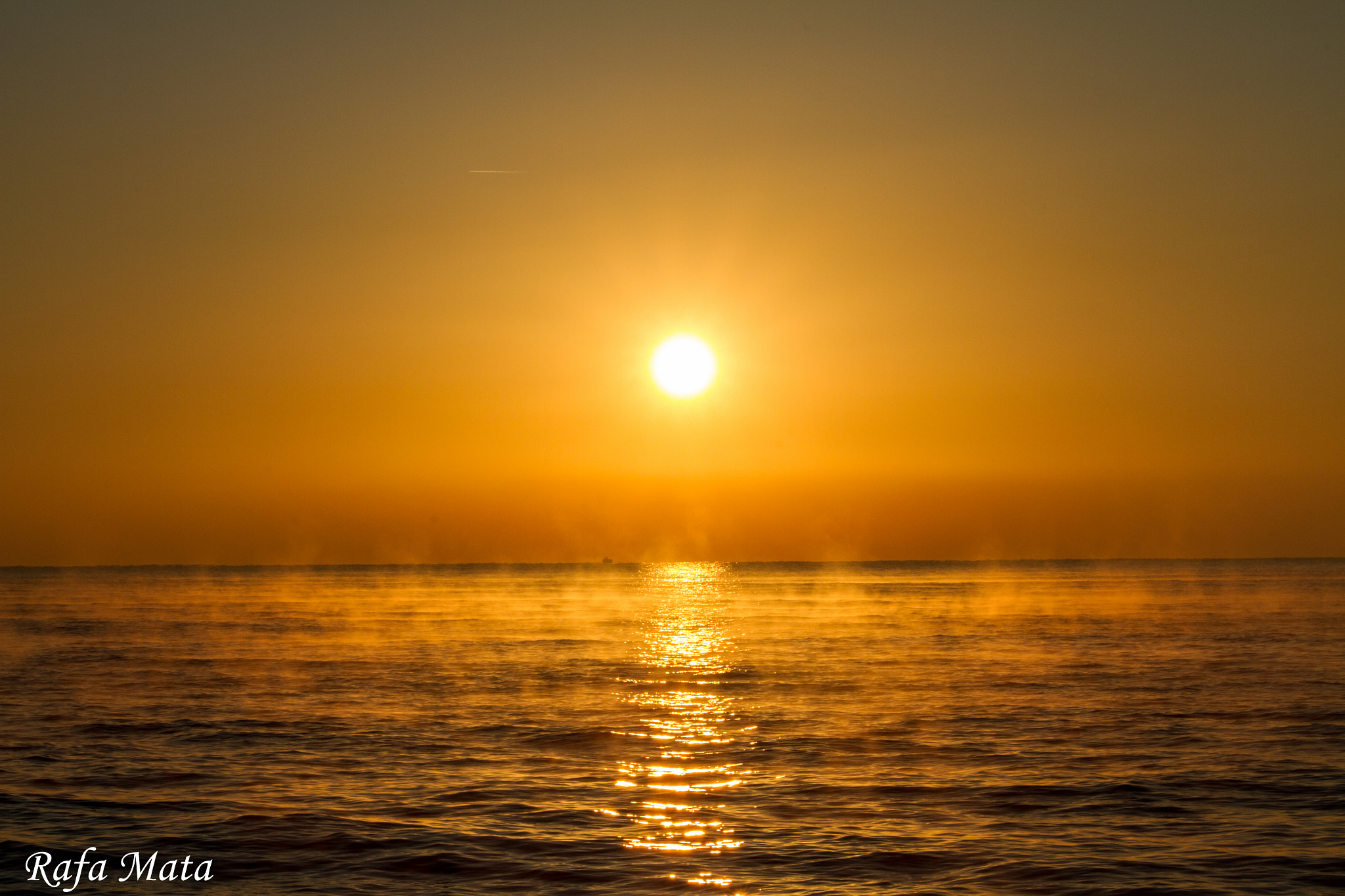 Canon EF-S 55-250mm F4-5.6 IS STM sample photo. Reflejo photography