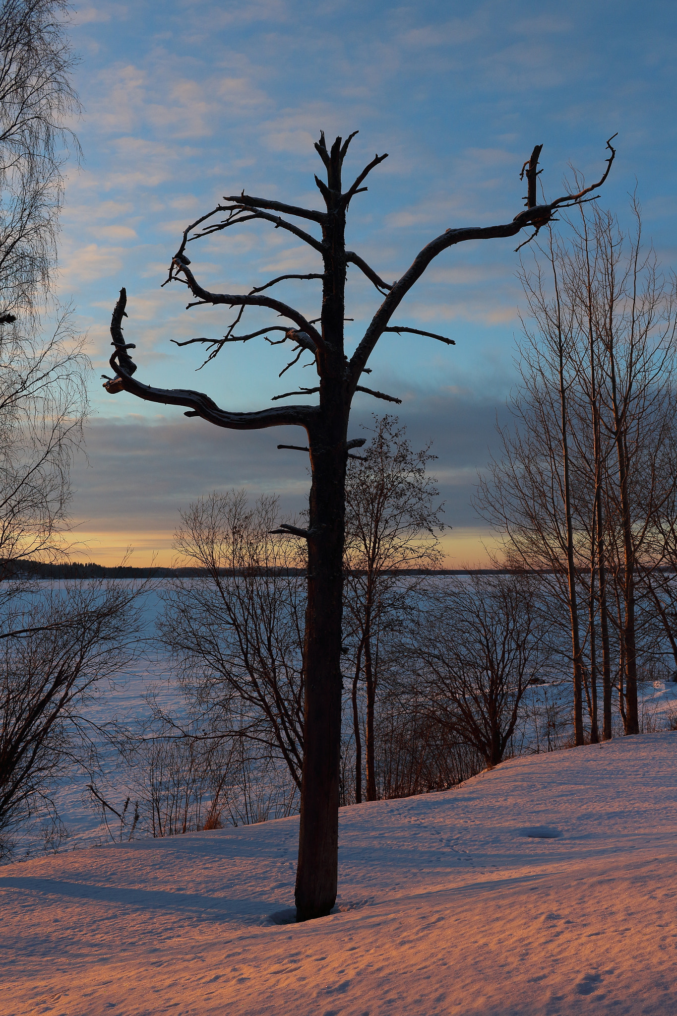 Canon EF-S 24mm F2.8 STM sample photo. Afternoon light photography