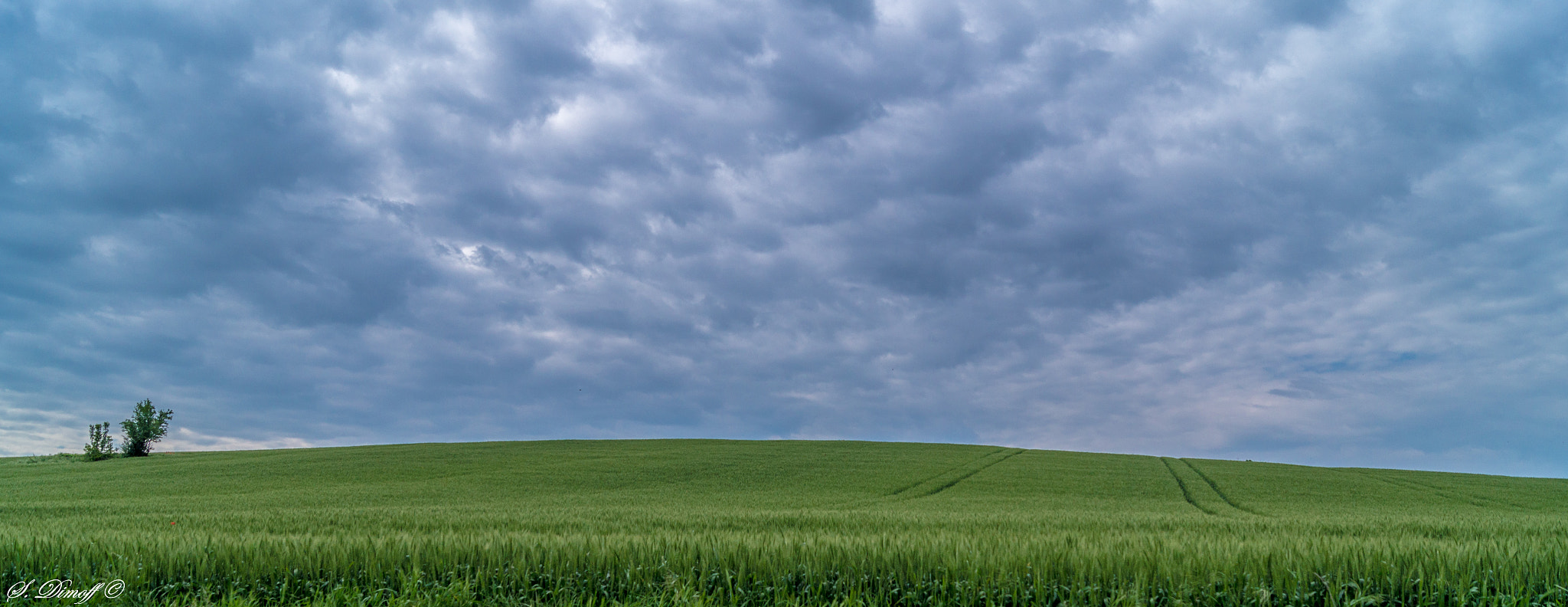 Sony SLT-A58 + Sony DT 18-55mm F3.5-5.6 SAM sample photo. Before the rain ☔  photography