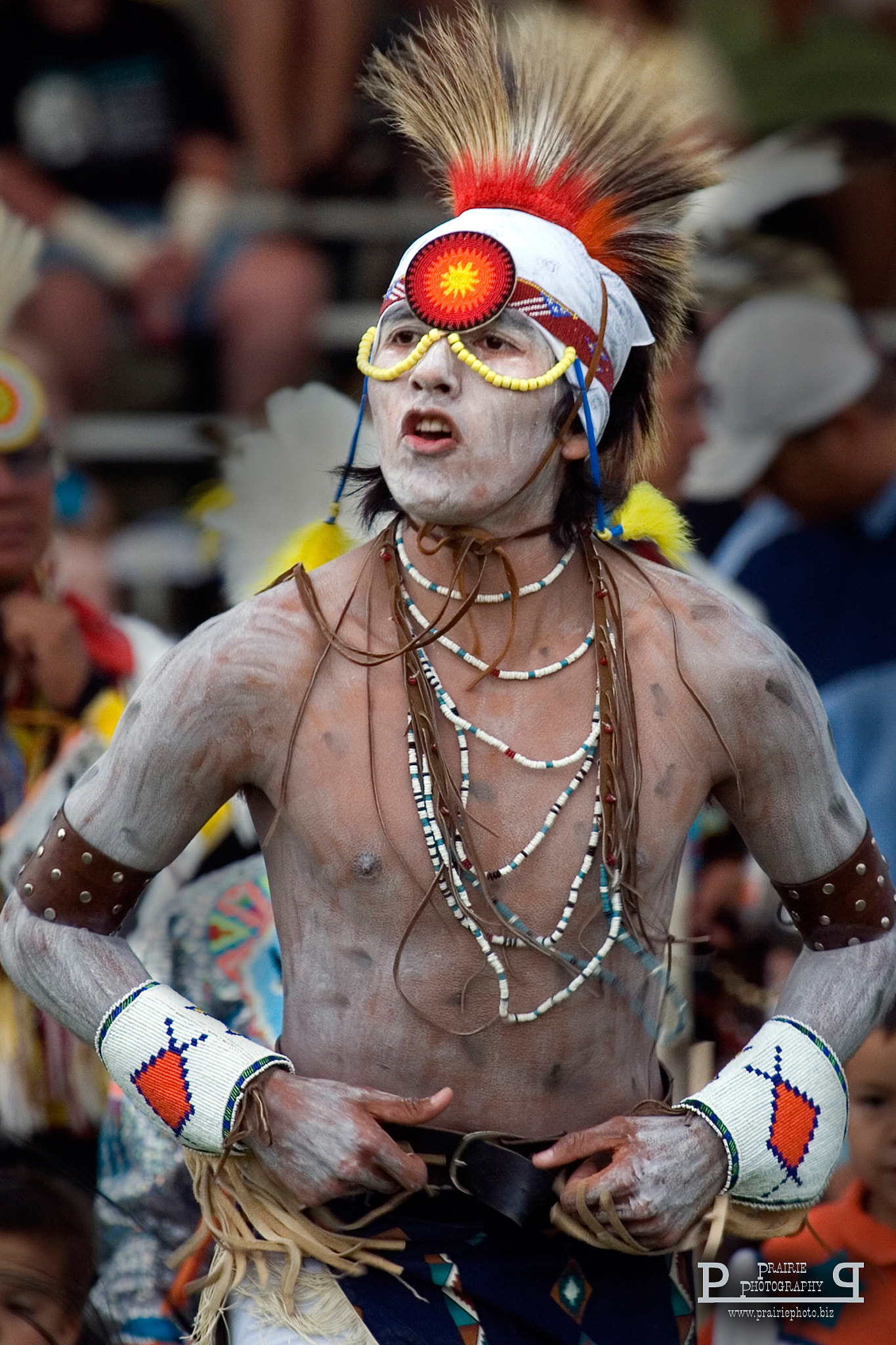 Canon EF 100-400mm F4.5-5.6L IS USM sample photo. Horse dancer photography