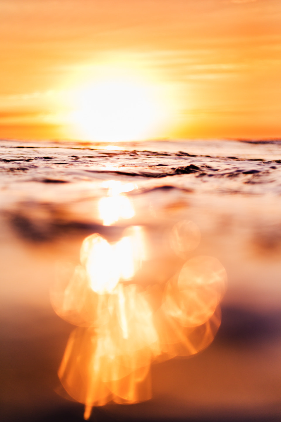 Canon EOS-1D X sample photo. Golden hour photography