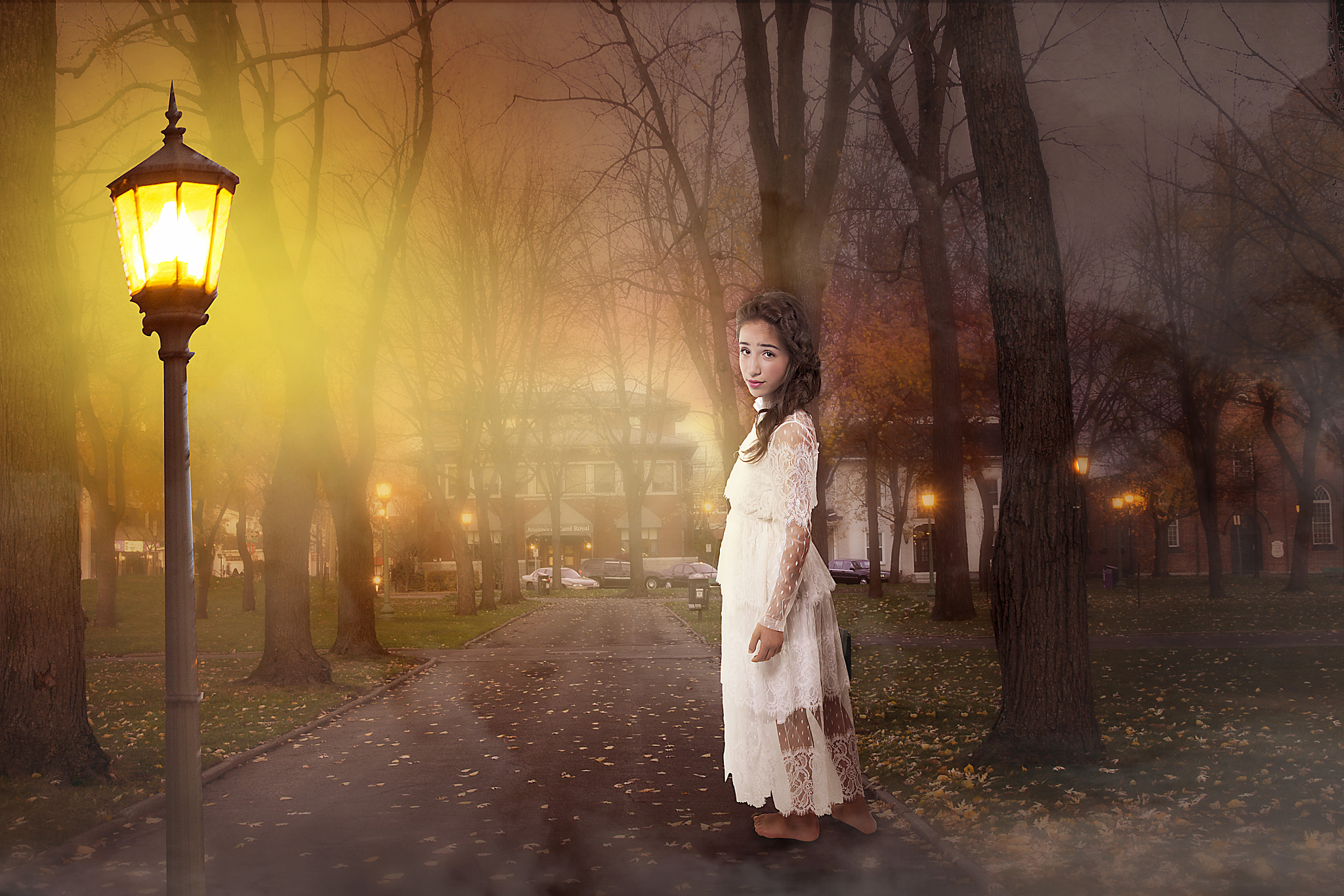 Canon EOS 50D sample photo. Soir de brume photography